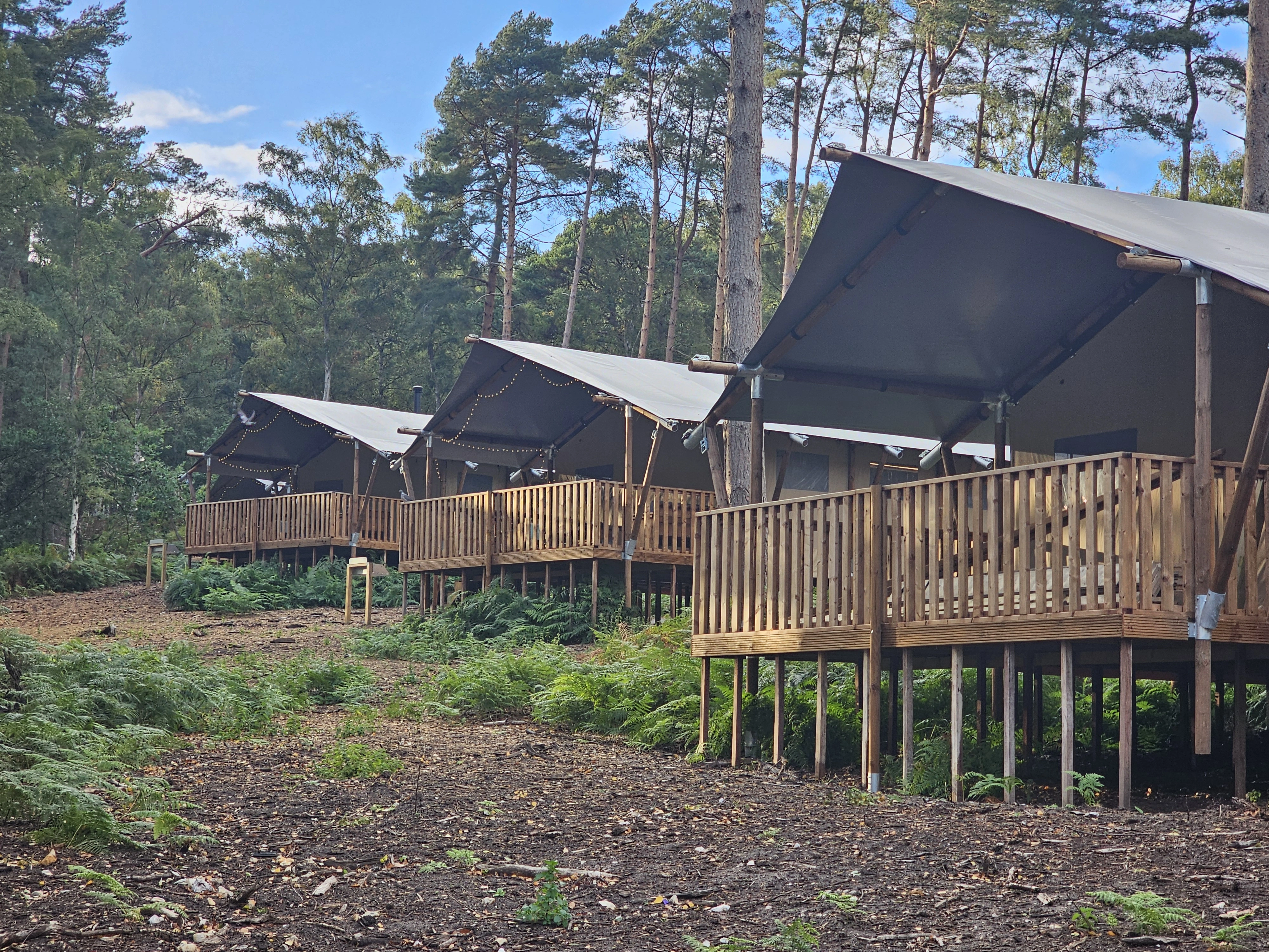 The Sandringham Estate Caravan and Motorhome Club Campsite