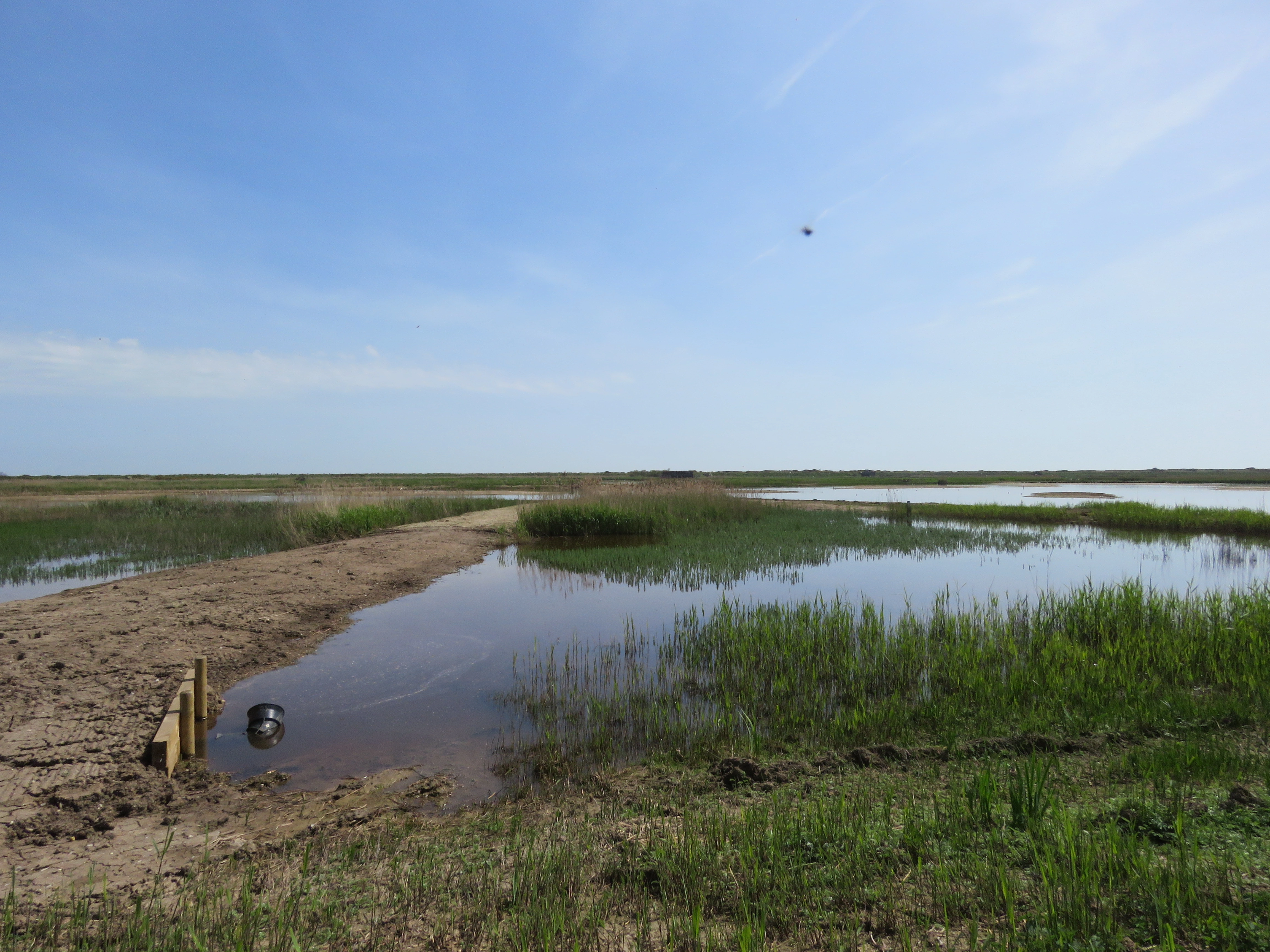 RSPB Minsmere