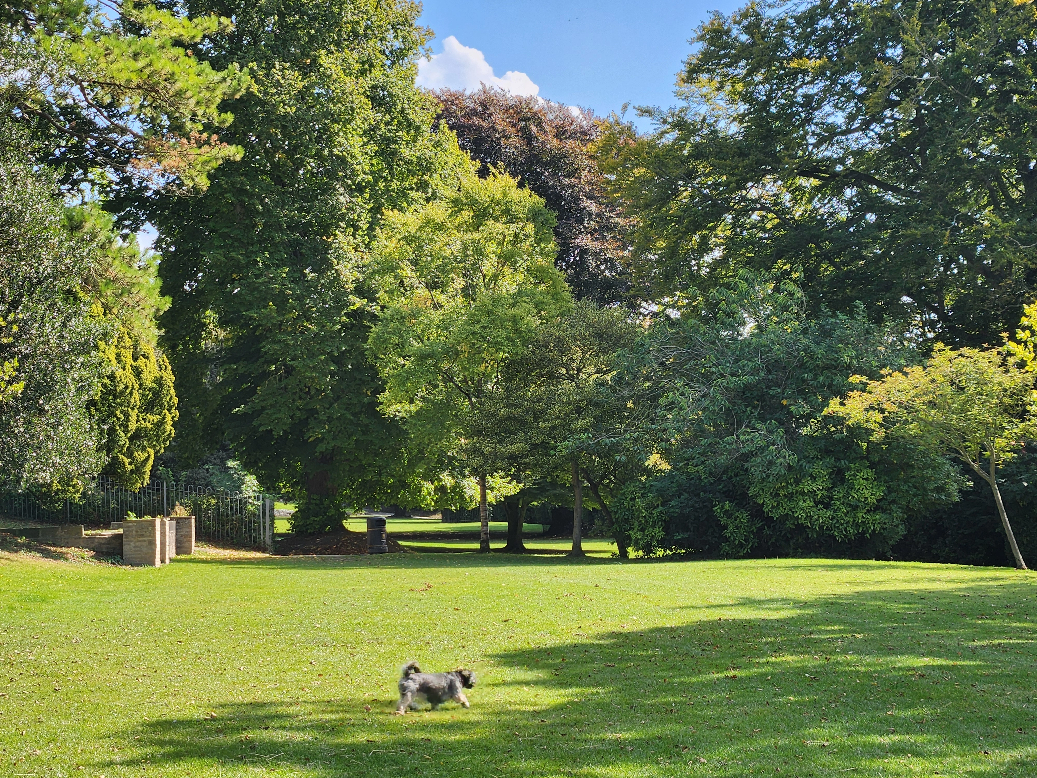 Connaught Park
