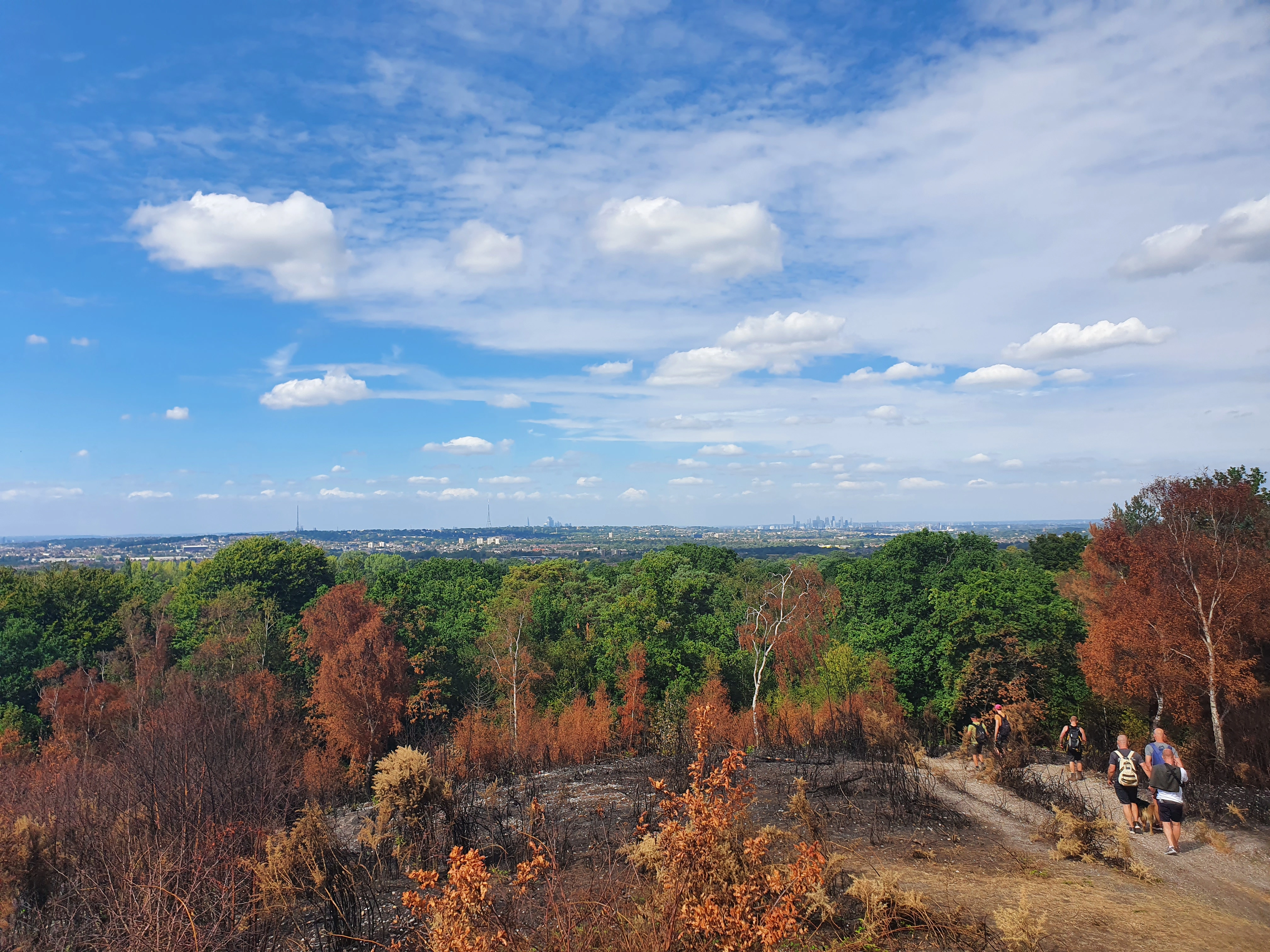Addington Hills