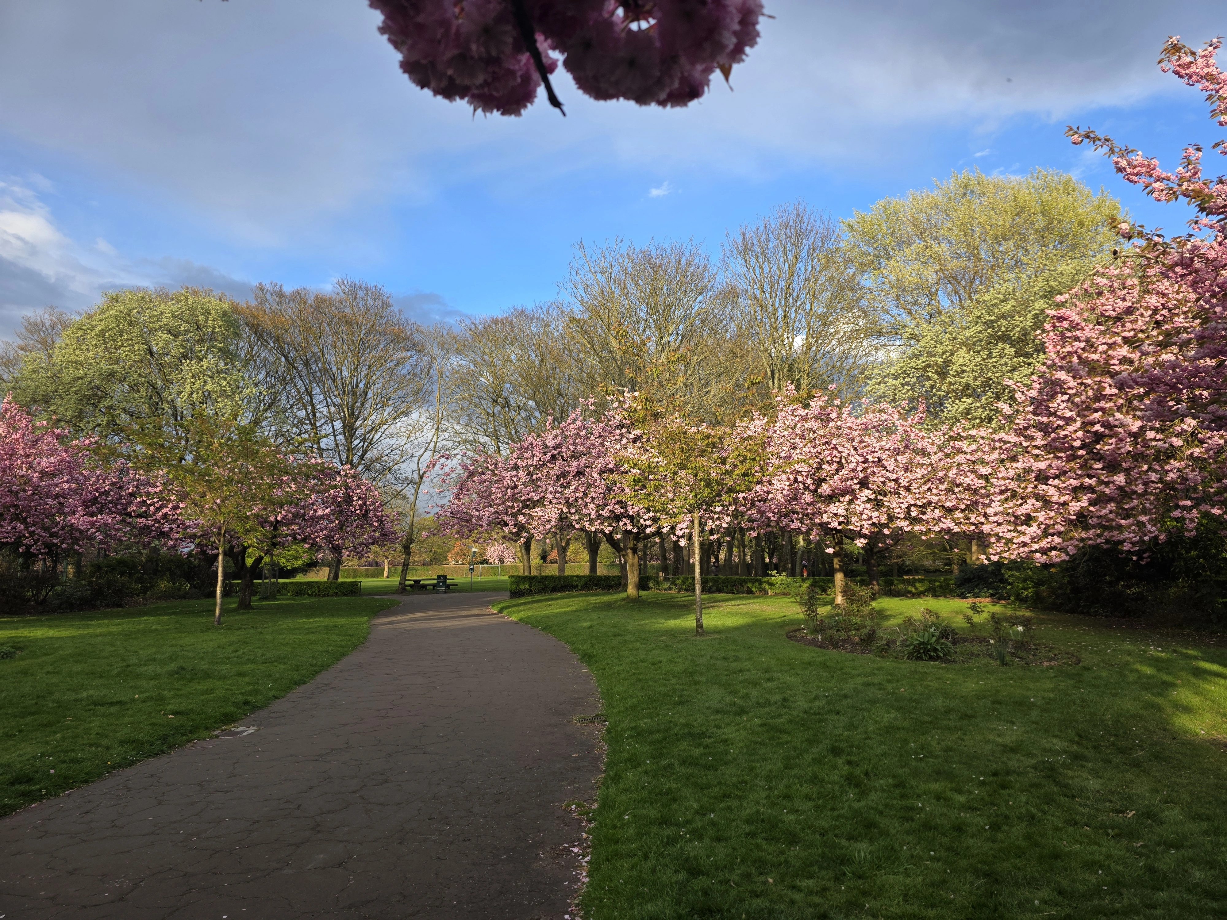 Victoria Park
