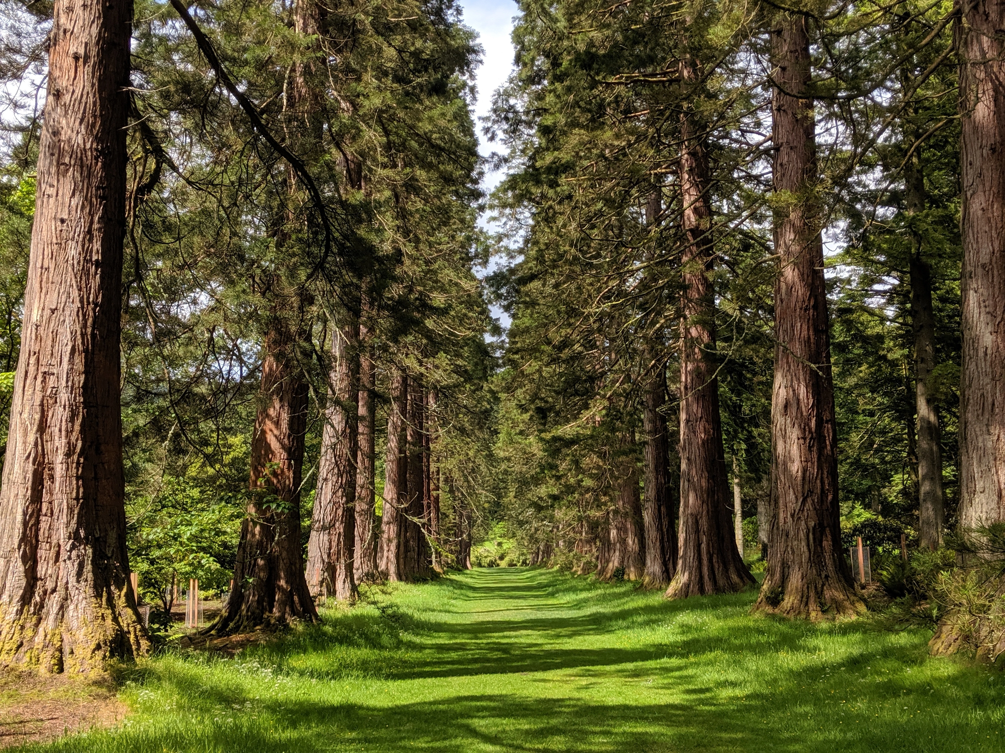 Benmore Botanic Garden