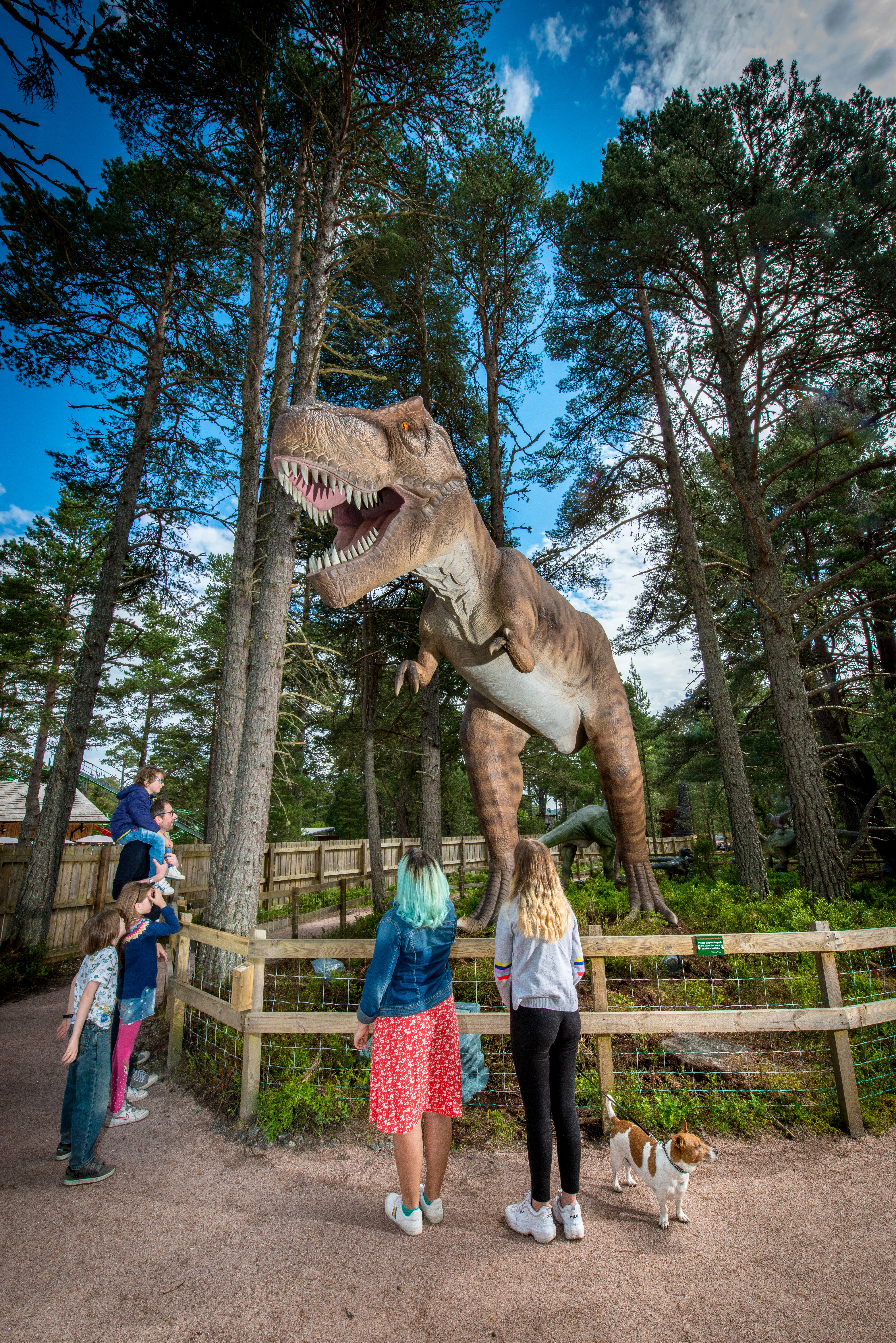 Landmark Forest Adventure Park