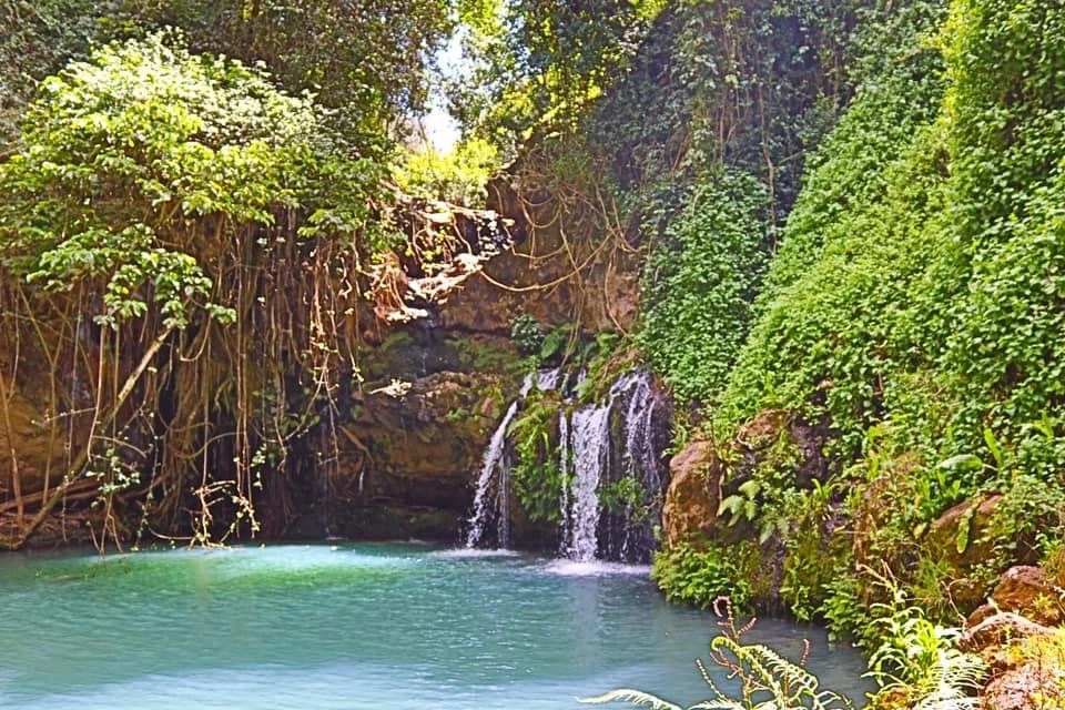 Ngare Ndare Forest Park