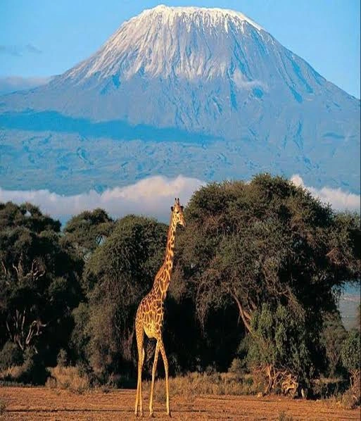 Mount Kilimanjaro National Park