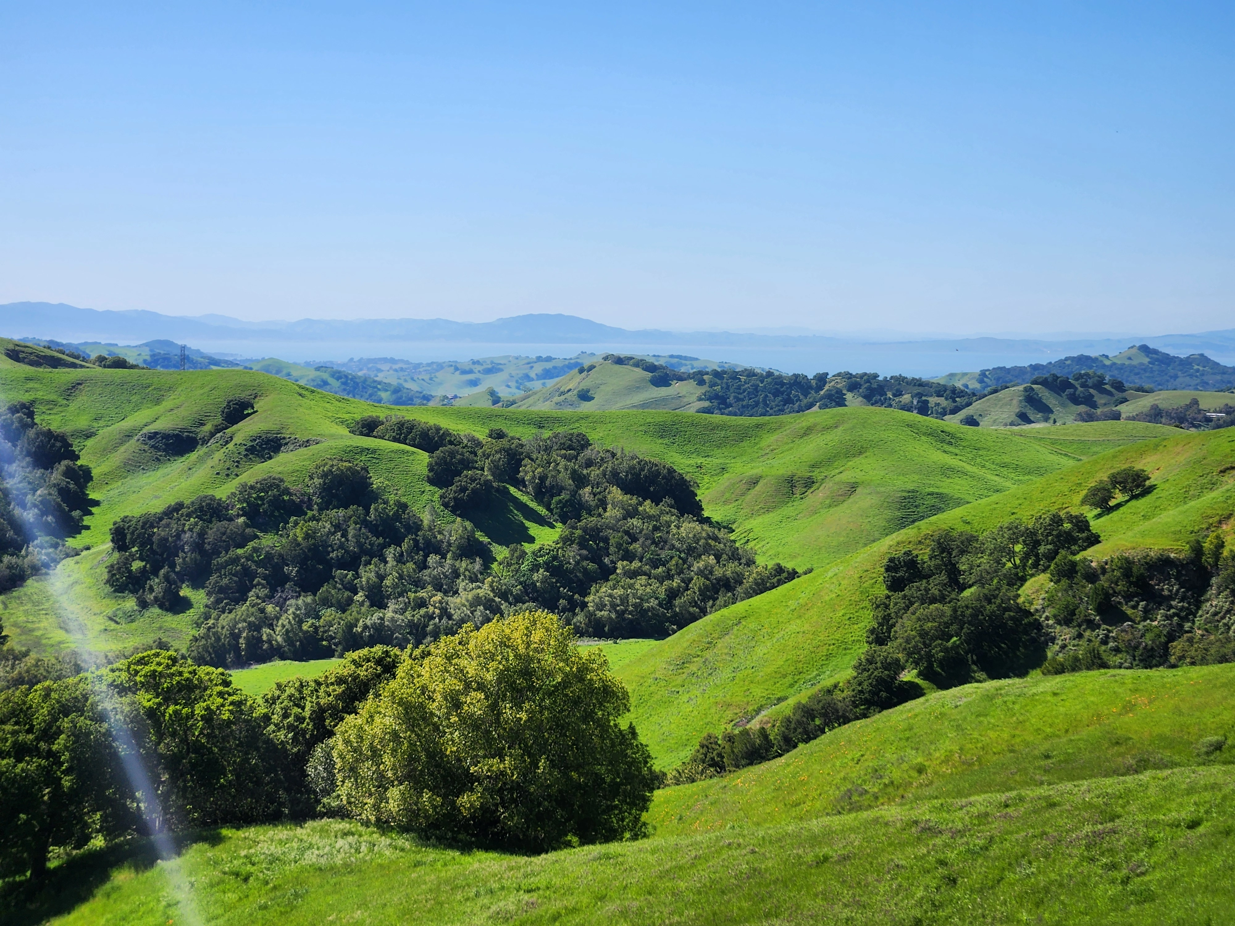 Briones Regional Park