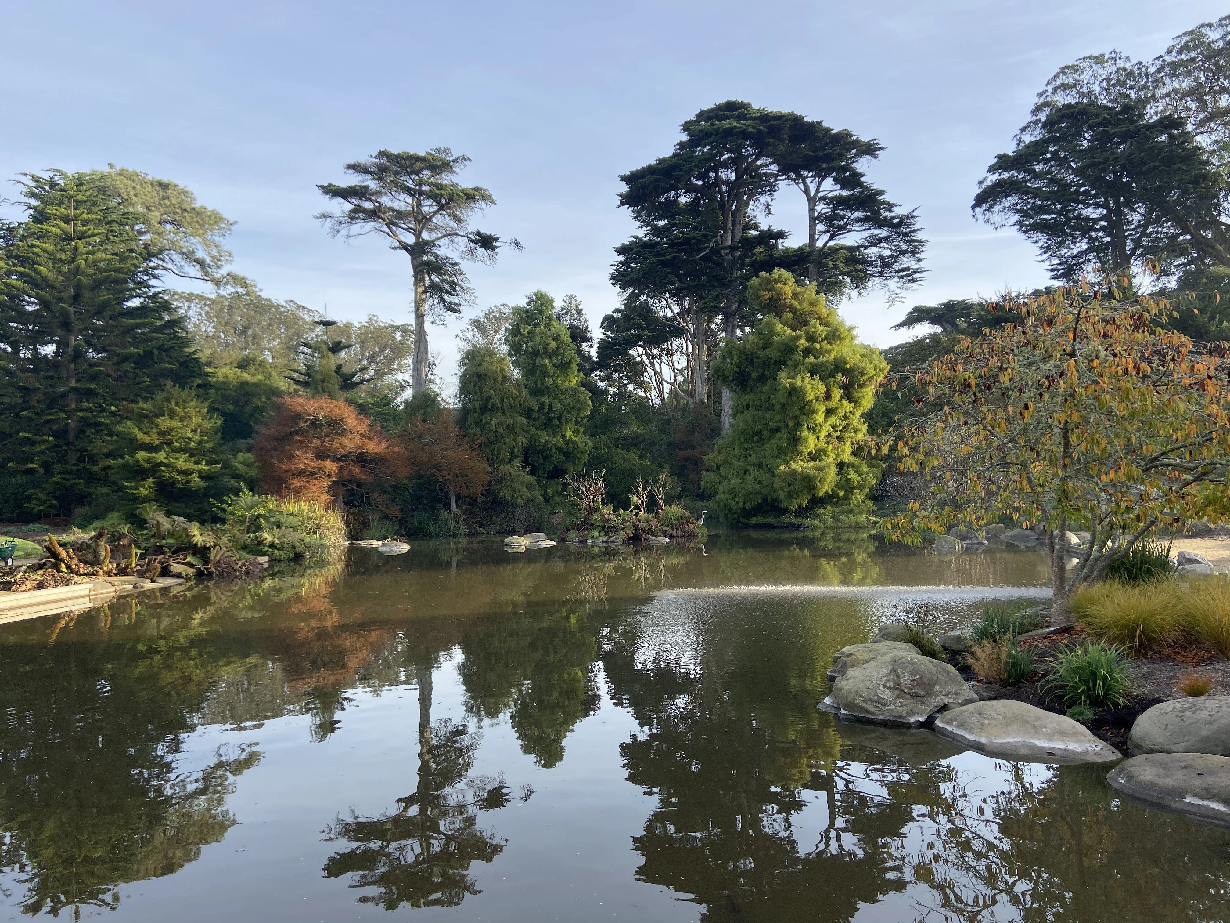 San Francisco Botanical Garden