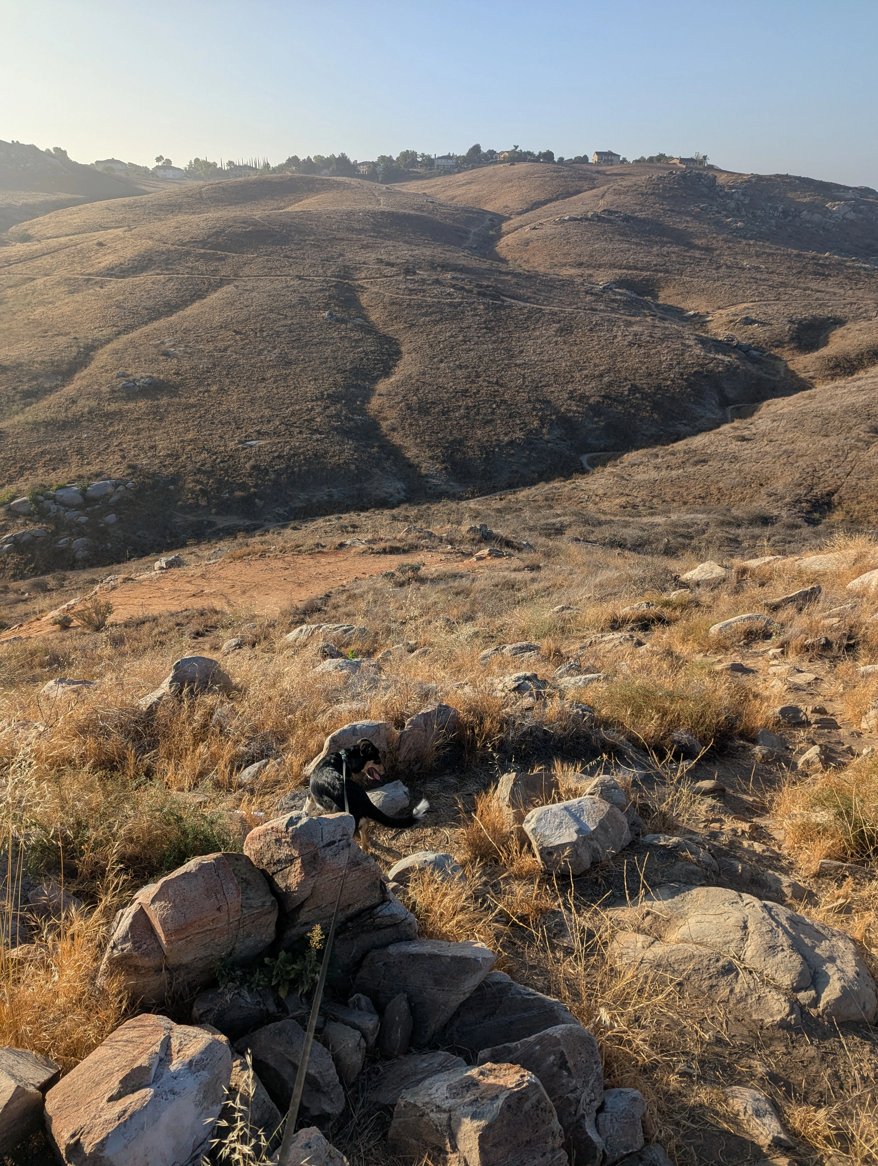 Sycamore Canyon Wilderness Park