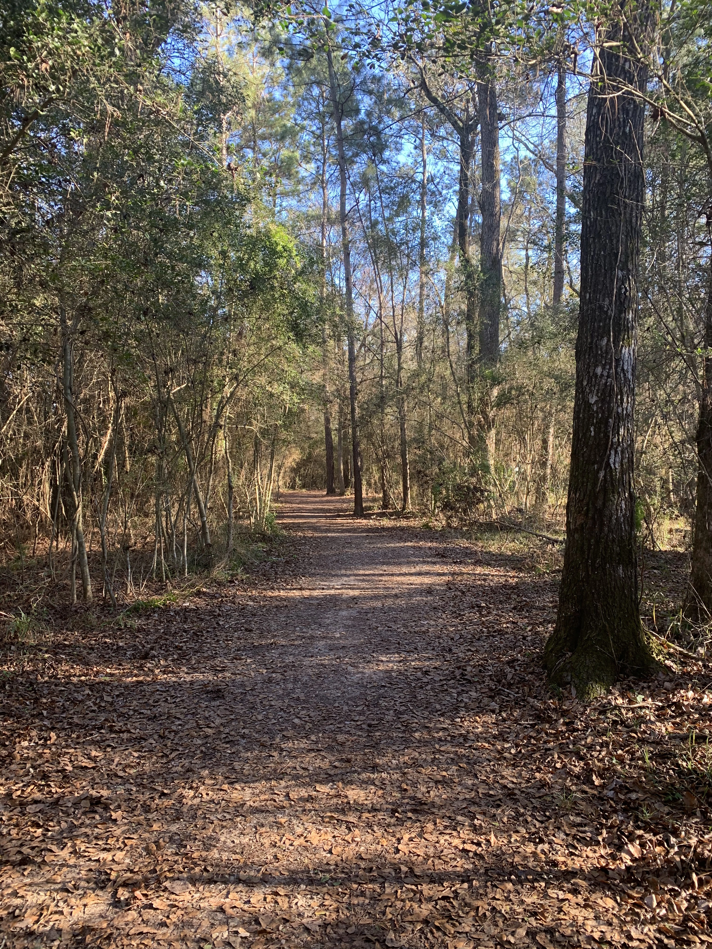 George Mitchell Nature Preserve
