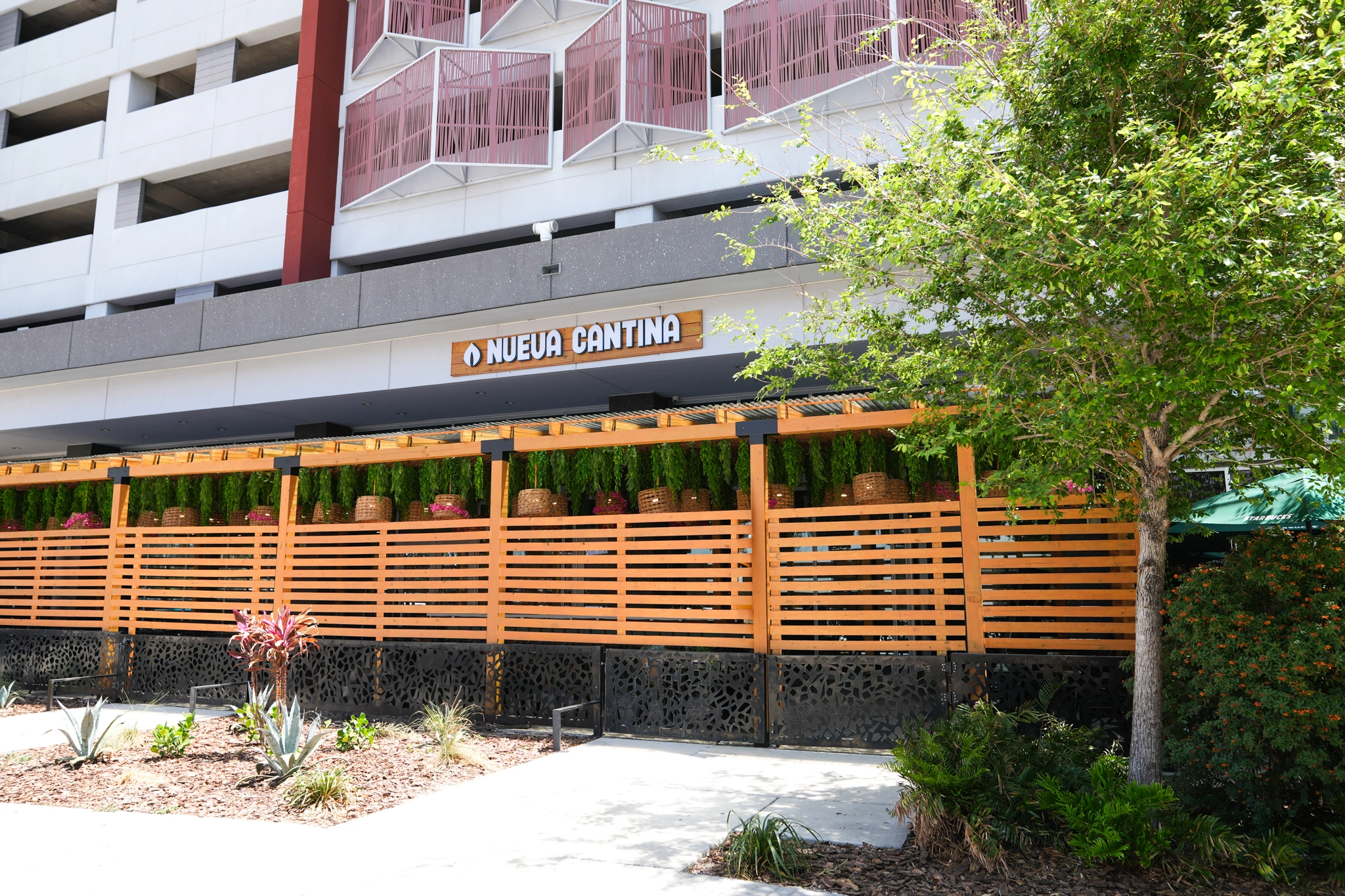 Nueva Cantina - Downtown Tampa
