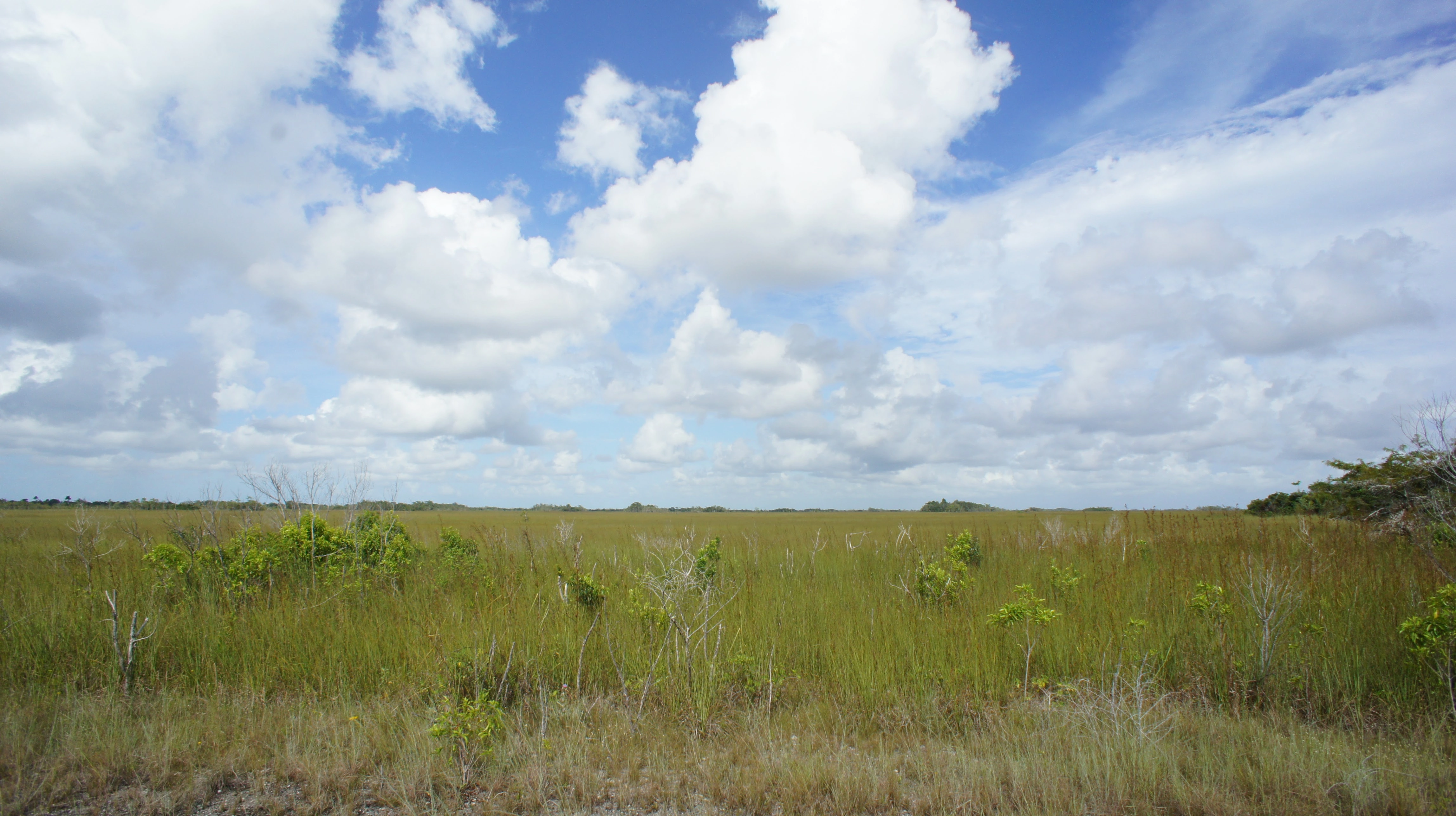 Southern Glades Wildlife and Environmental Area