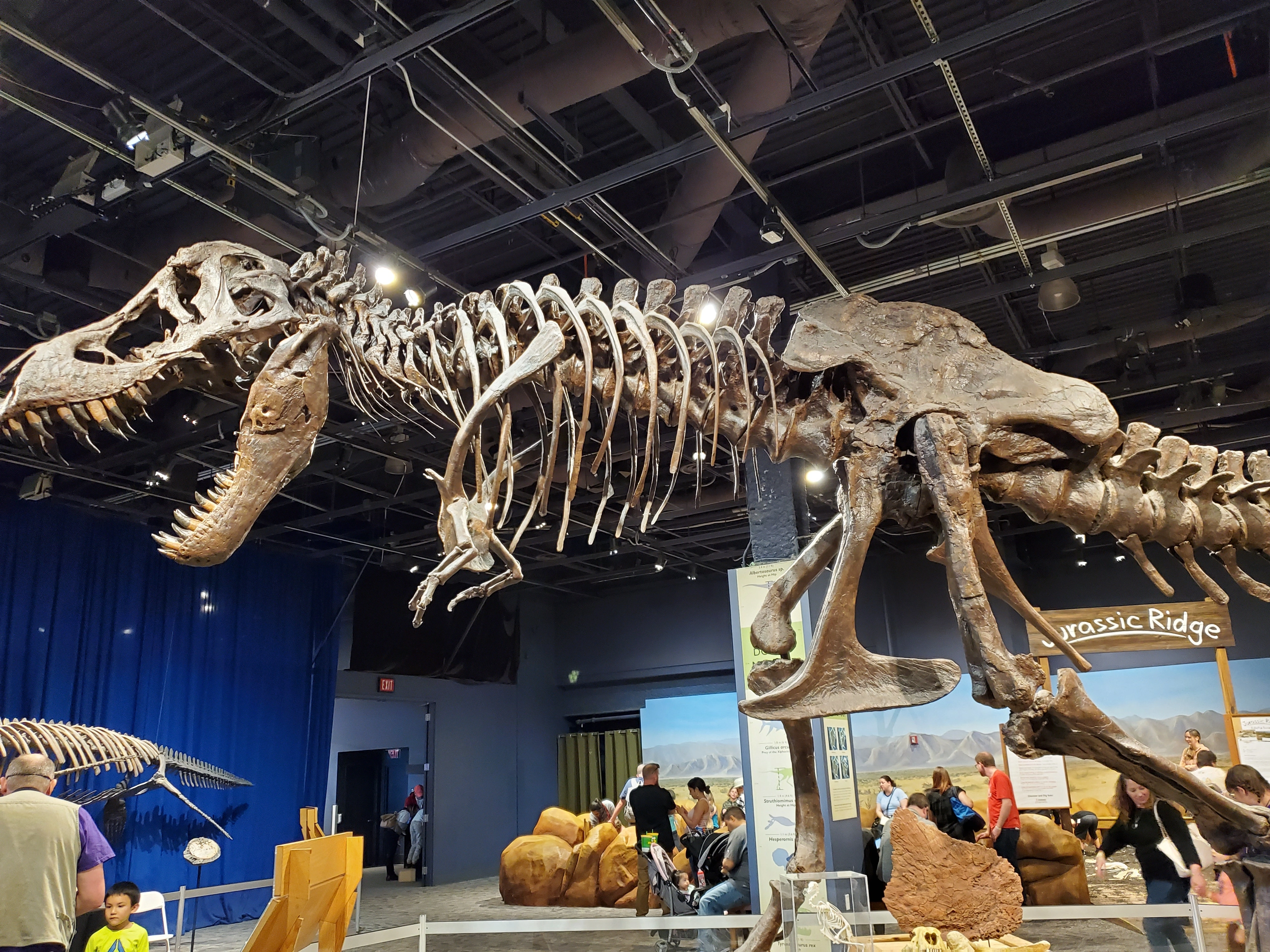 Orlando Science Center