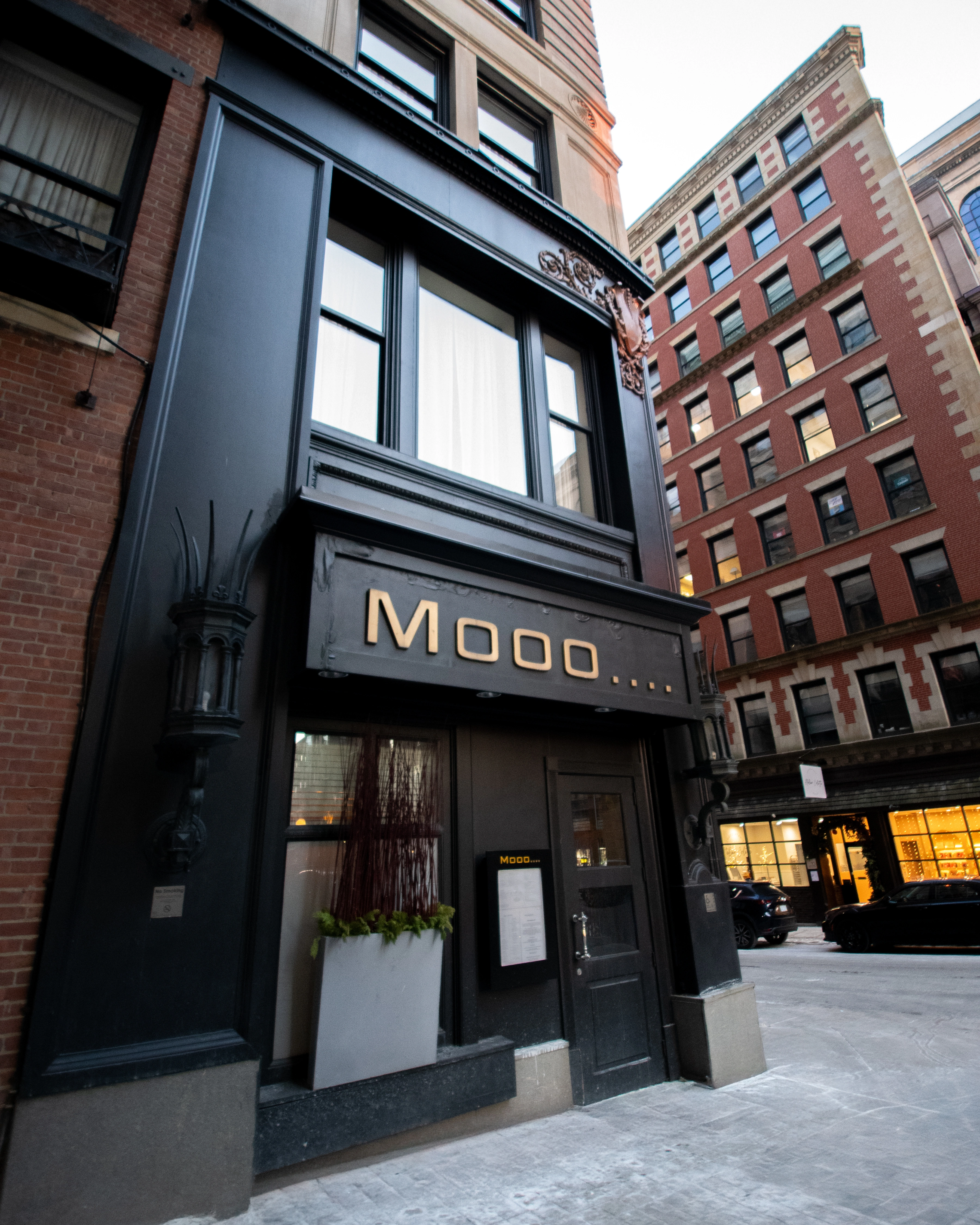 Mooo.... Beacon Hill