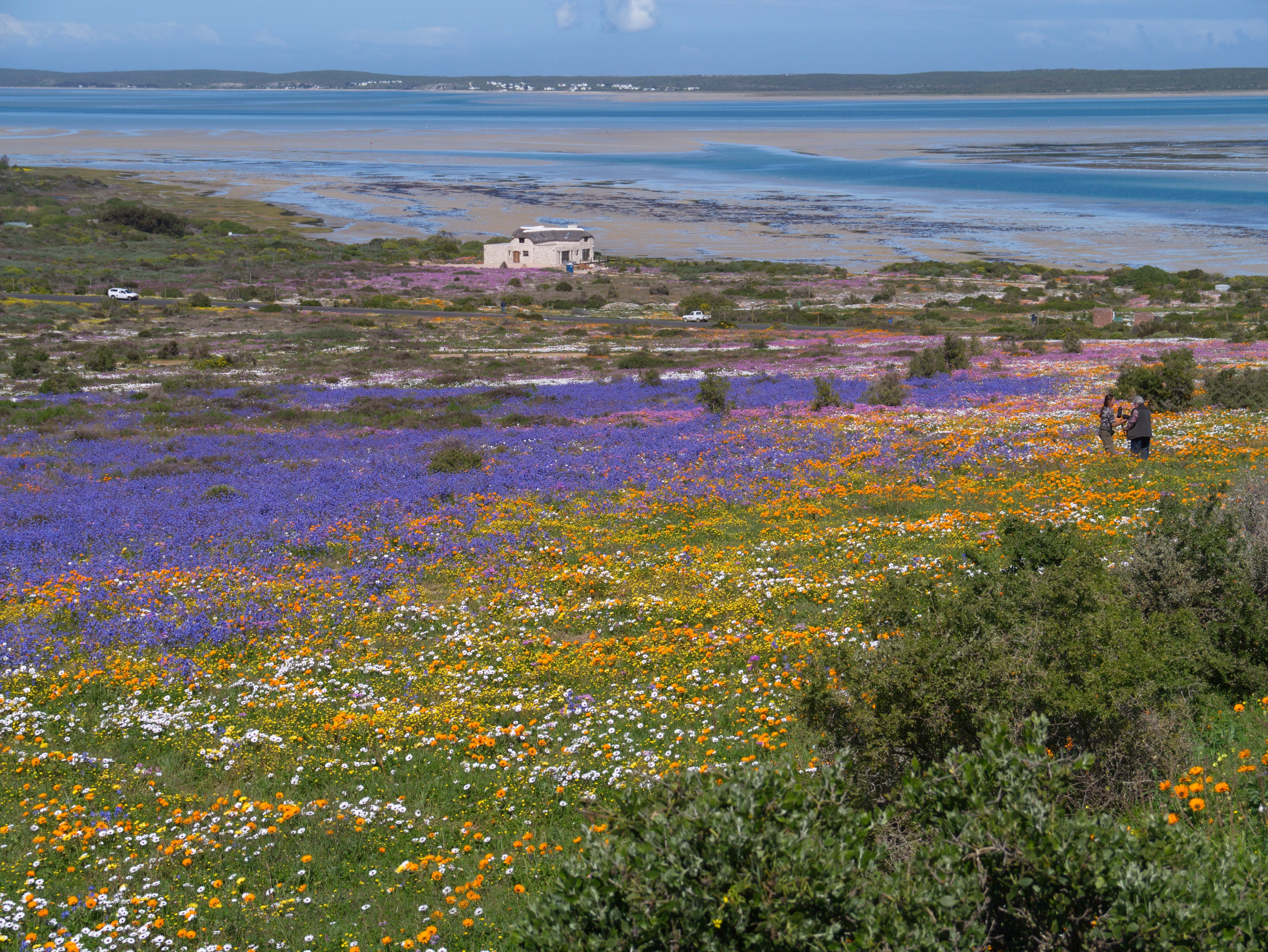 Shark Bay