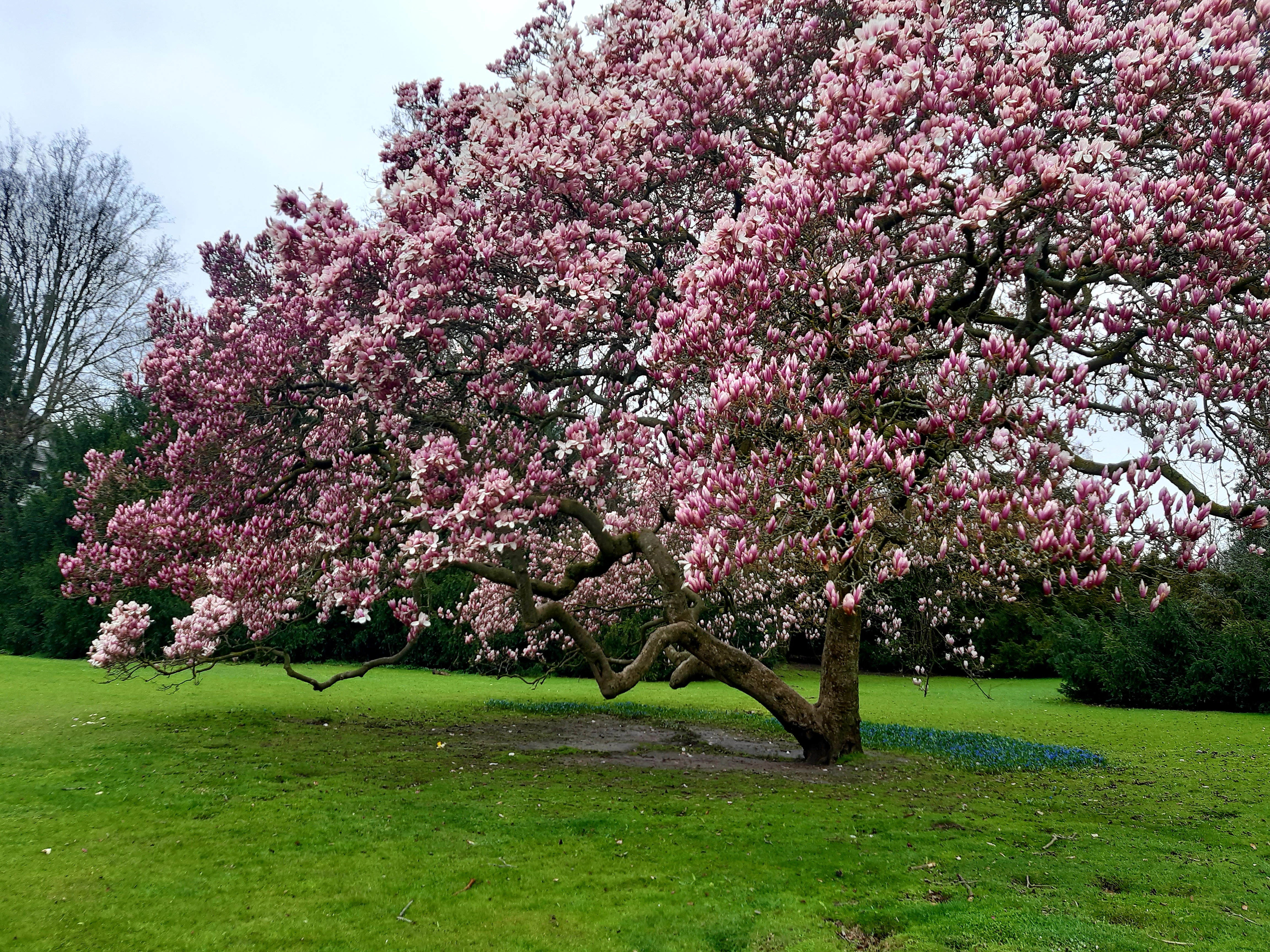 Bochum Park