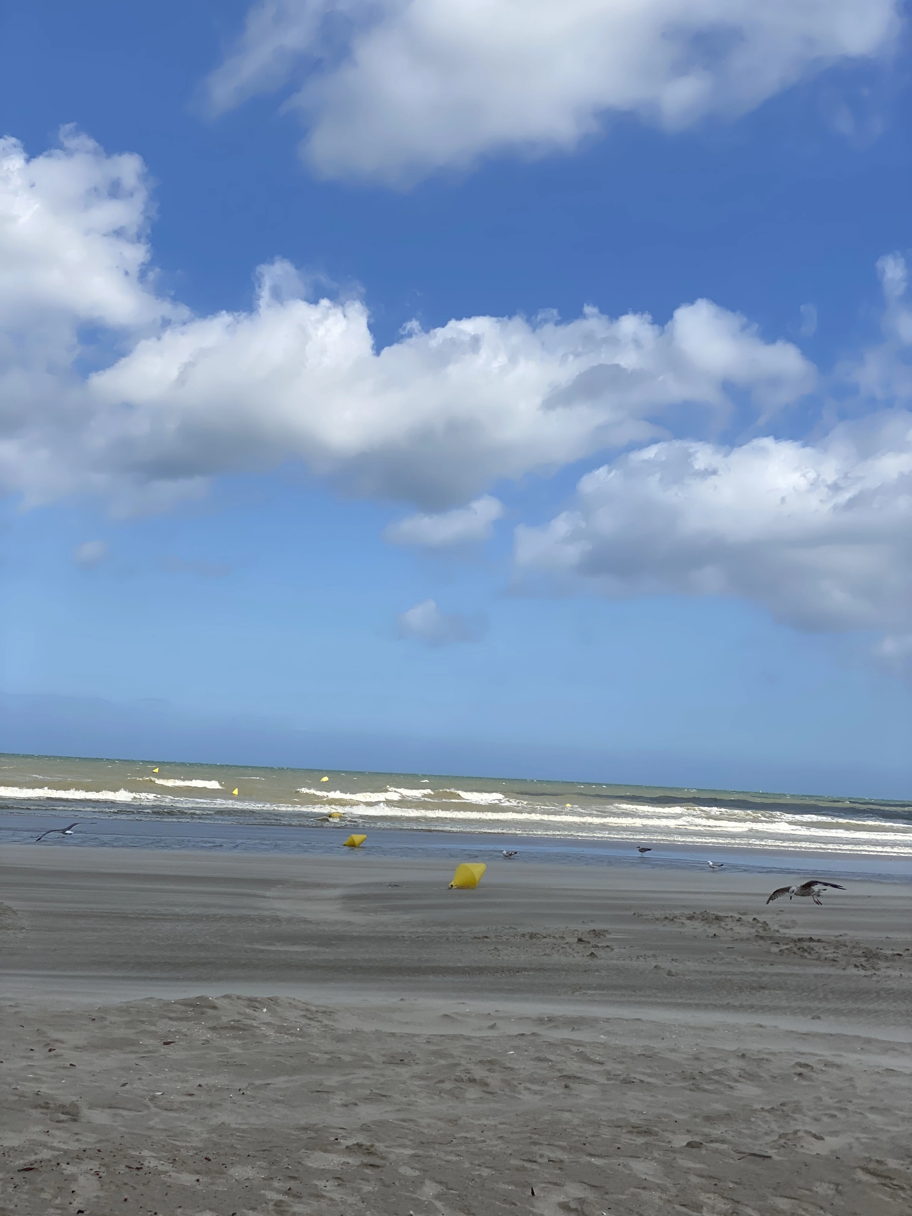 Plage de Bray-Dunes