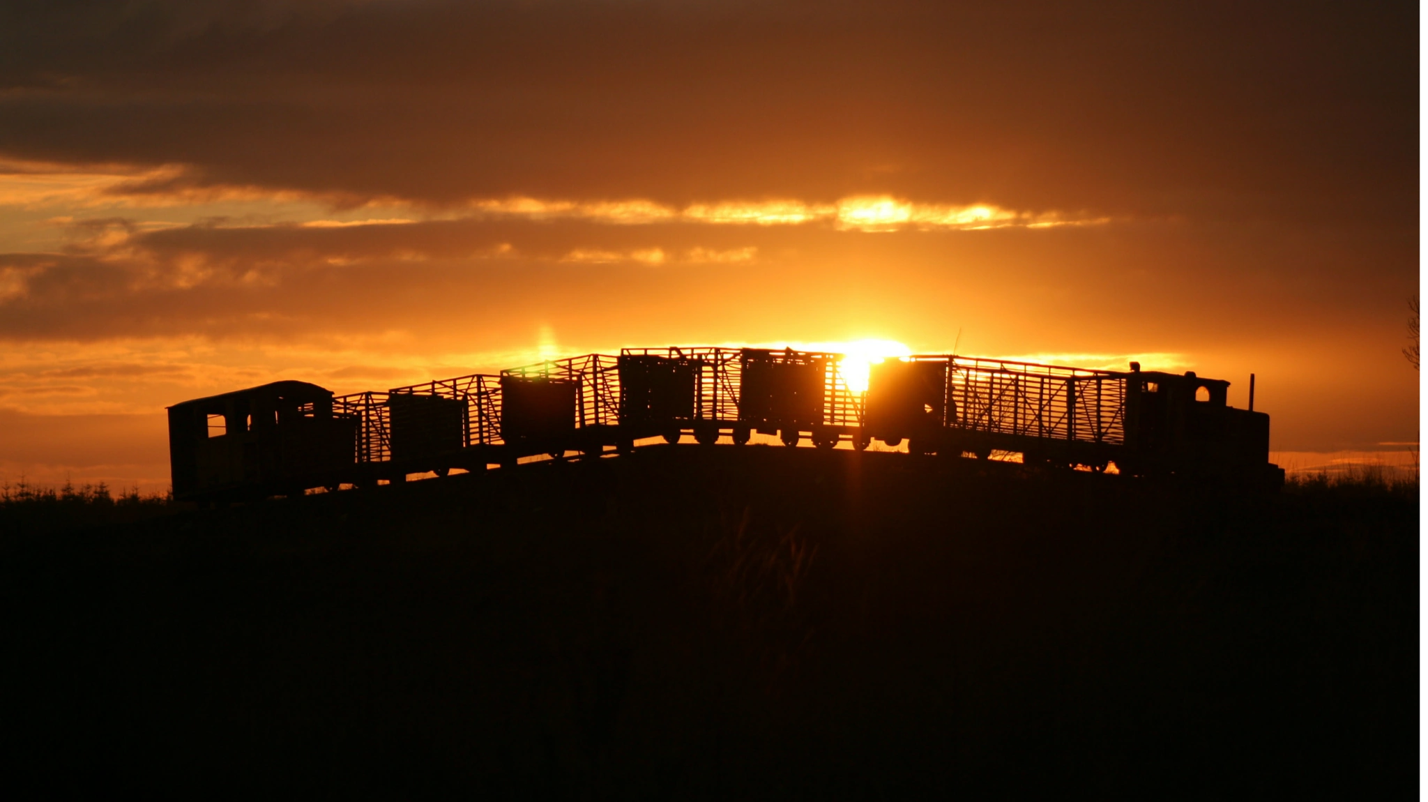 Lough Boora Discovery Park