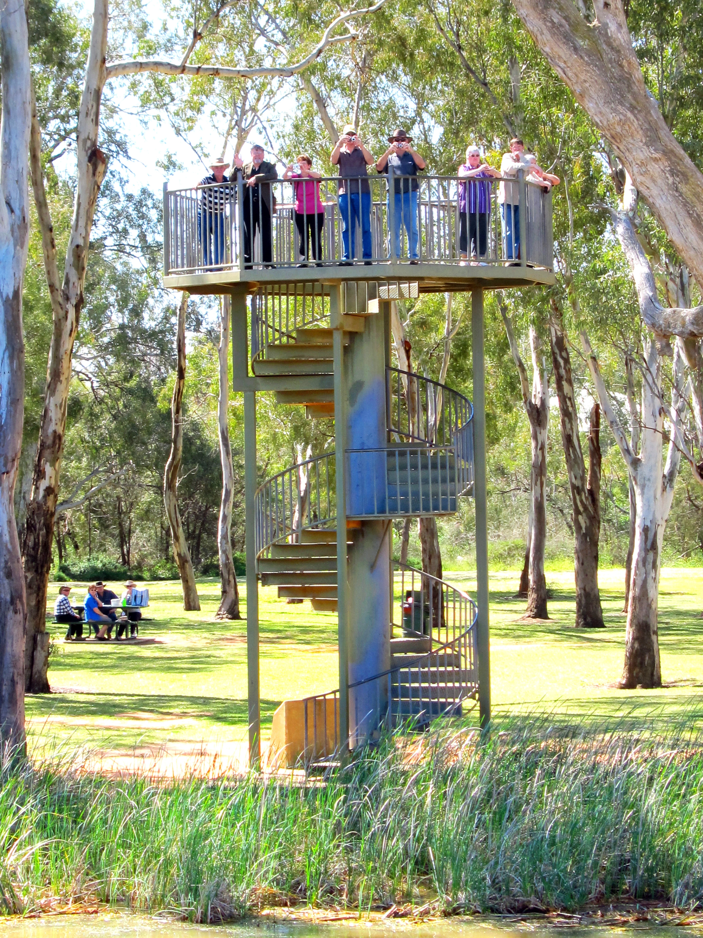 Darling and Murray River Junction and Viewing Tower