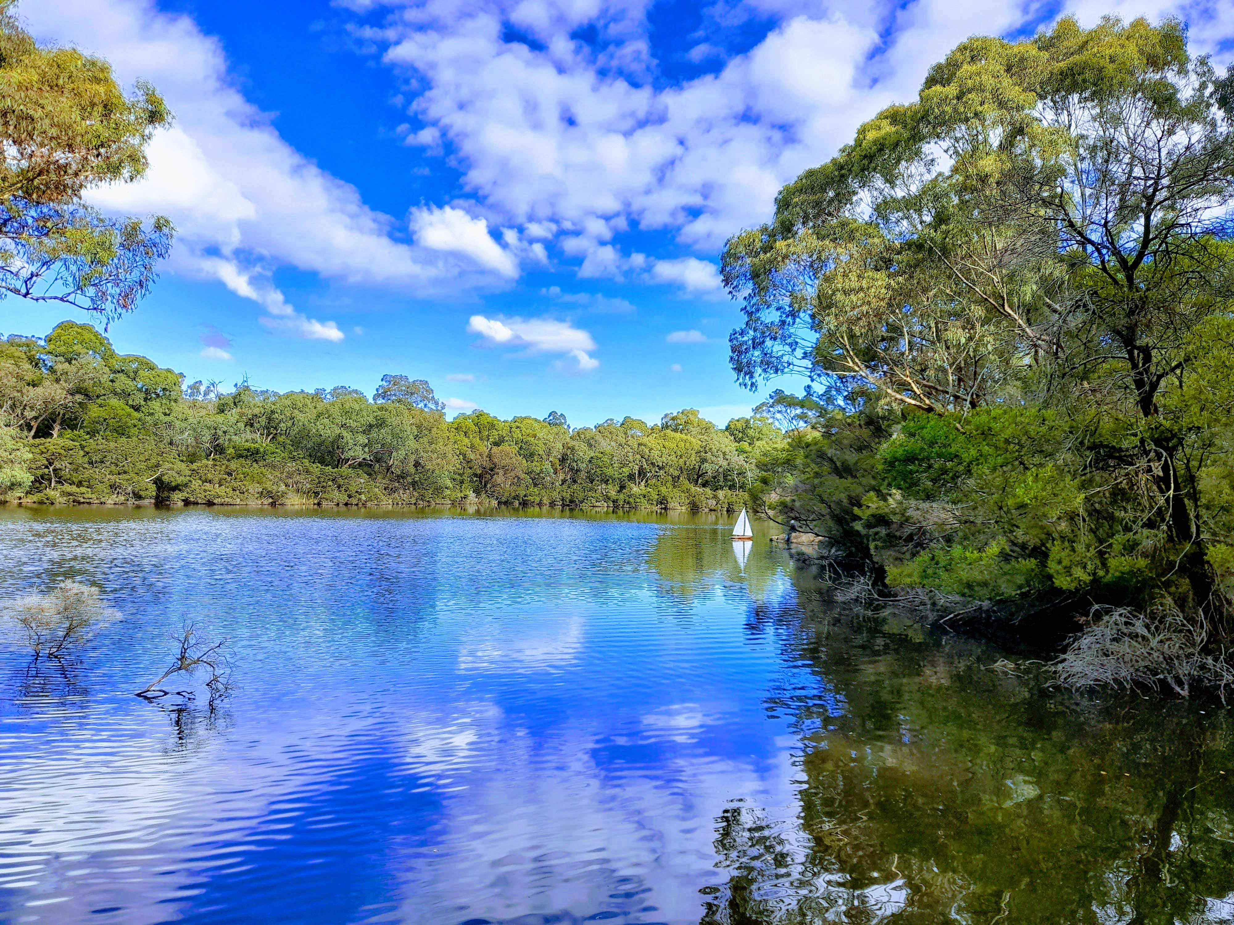 Blackburn Lake Sanctuary