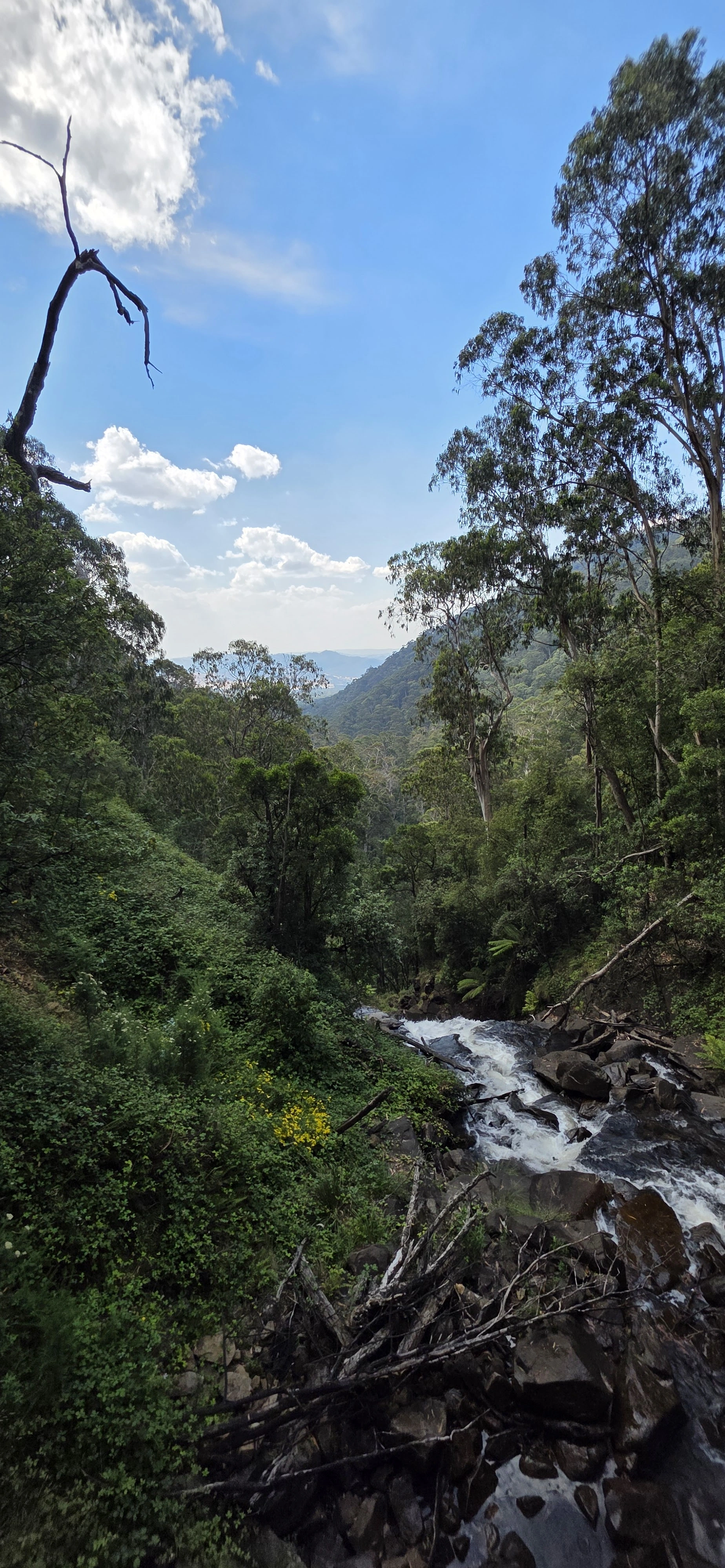 Snobs Creek Wildlife Reserve