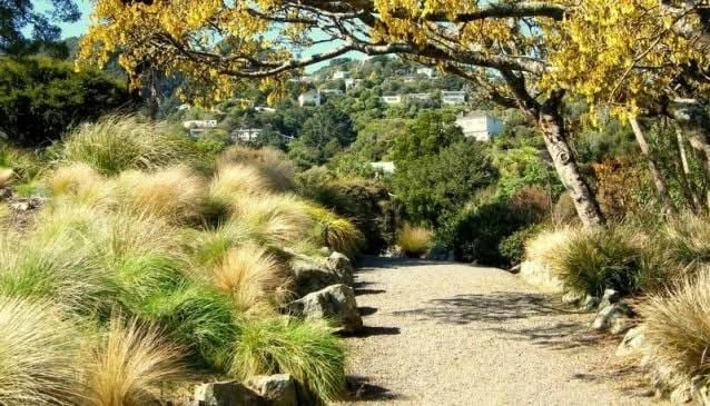 Ōtari-Wilton's Bush