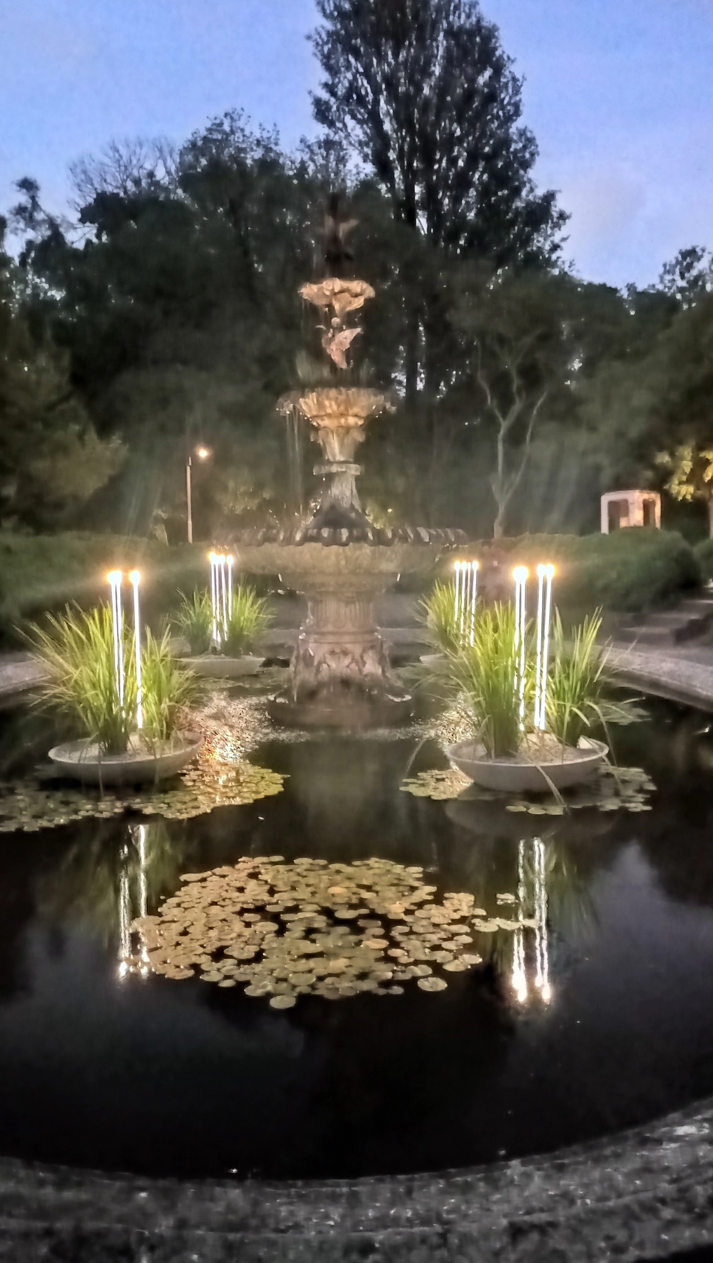Jardin Botanico Fountain