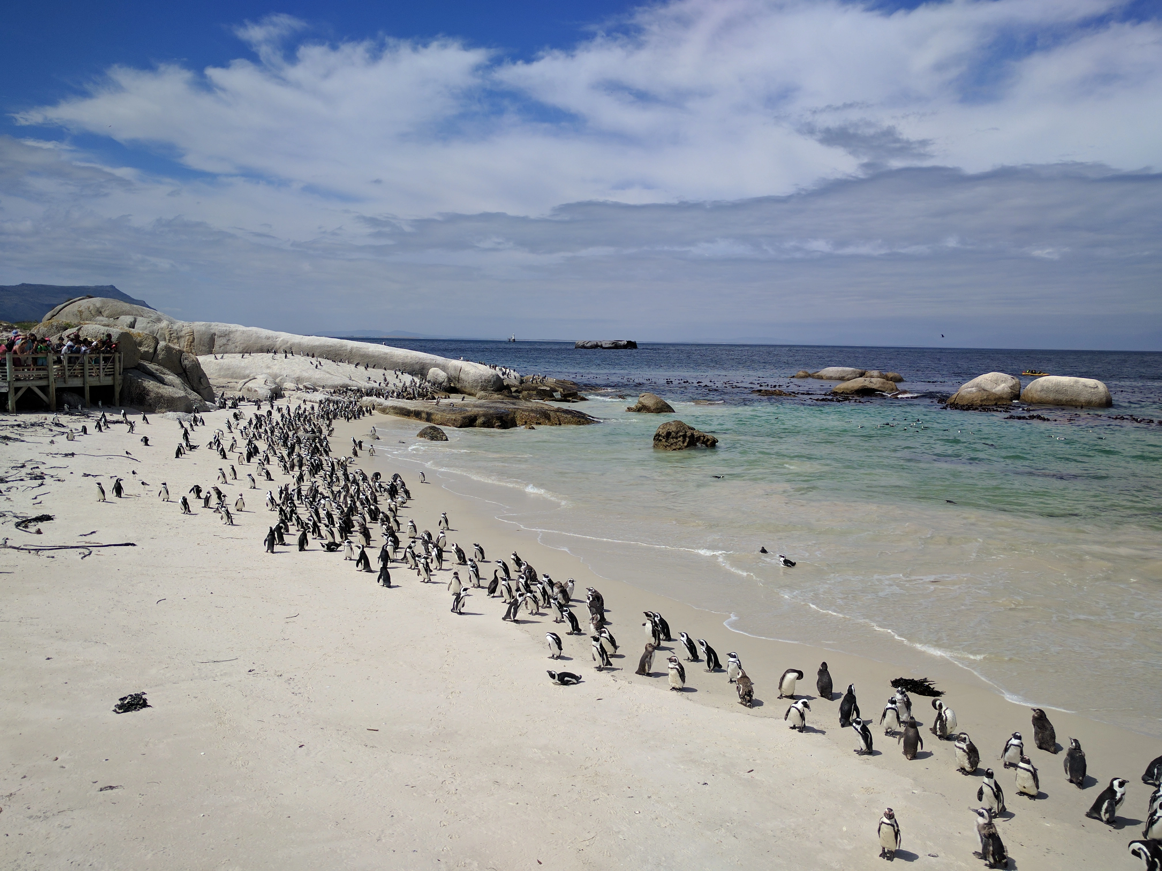 Boulders Beach
