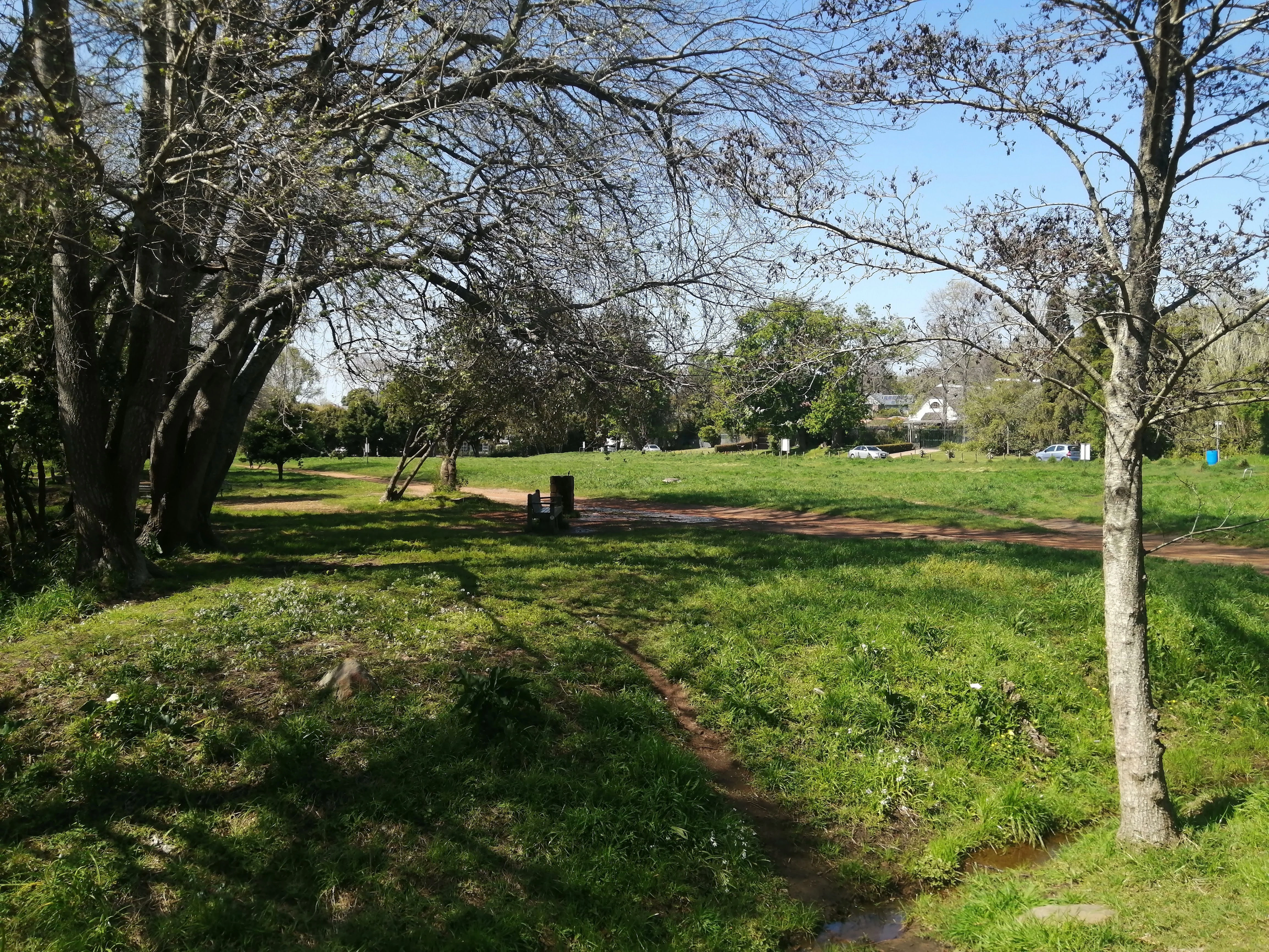 Constantia Greenbelt and Forest