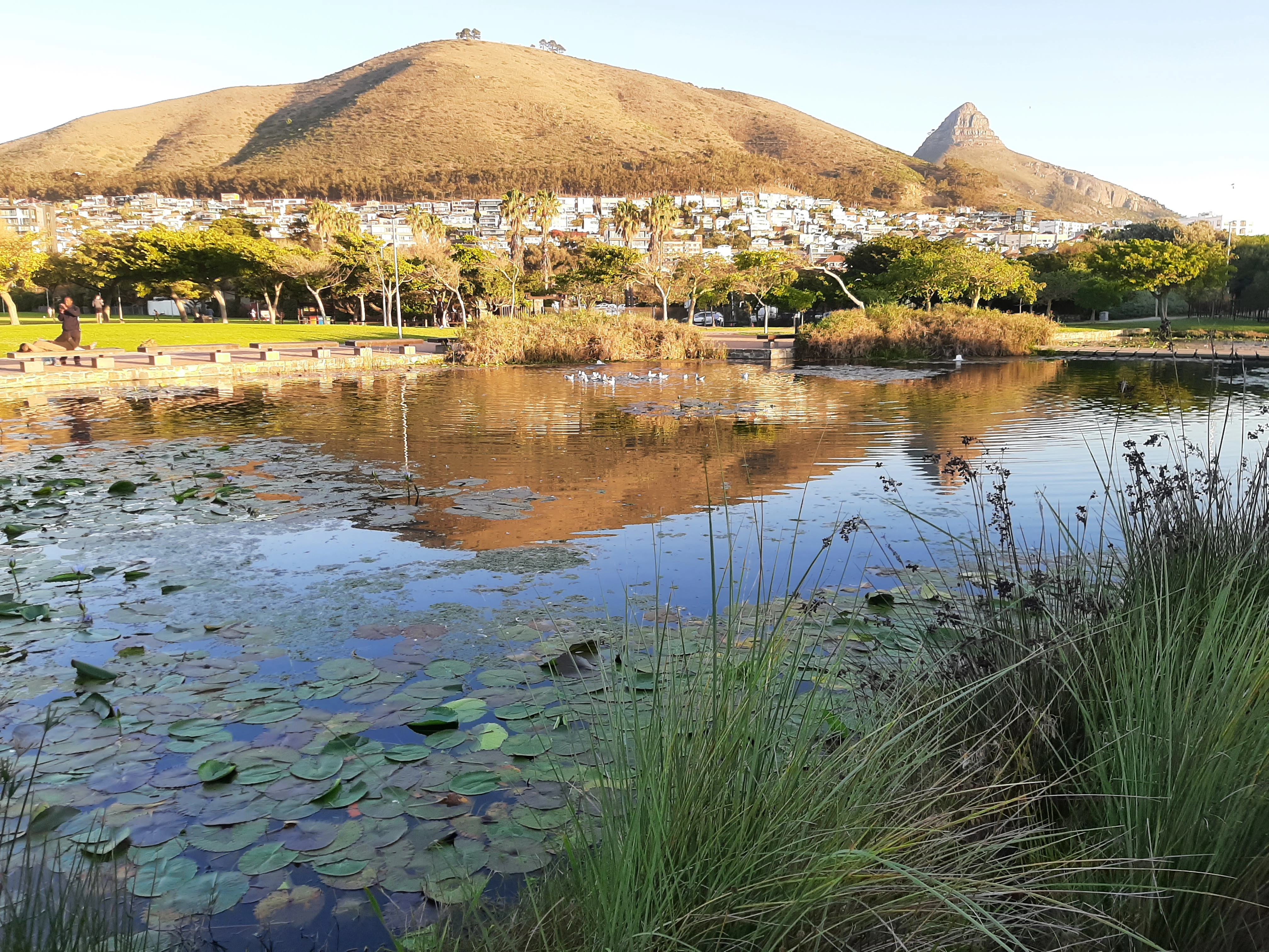 Green Point Park - Park Road Gate
