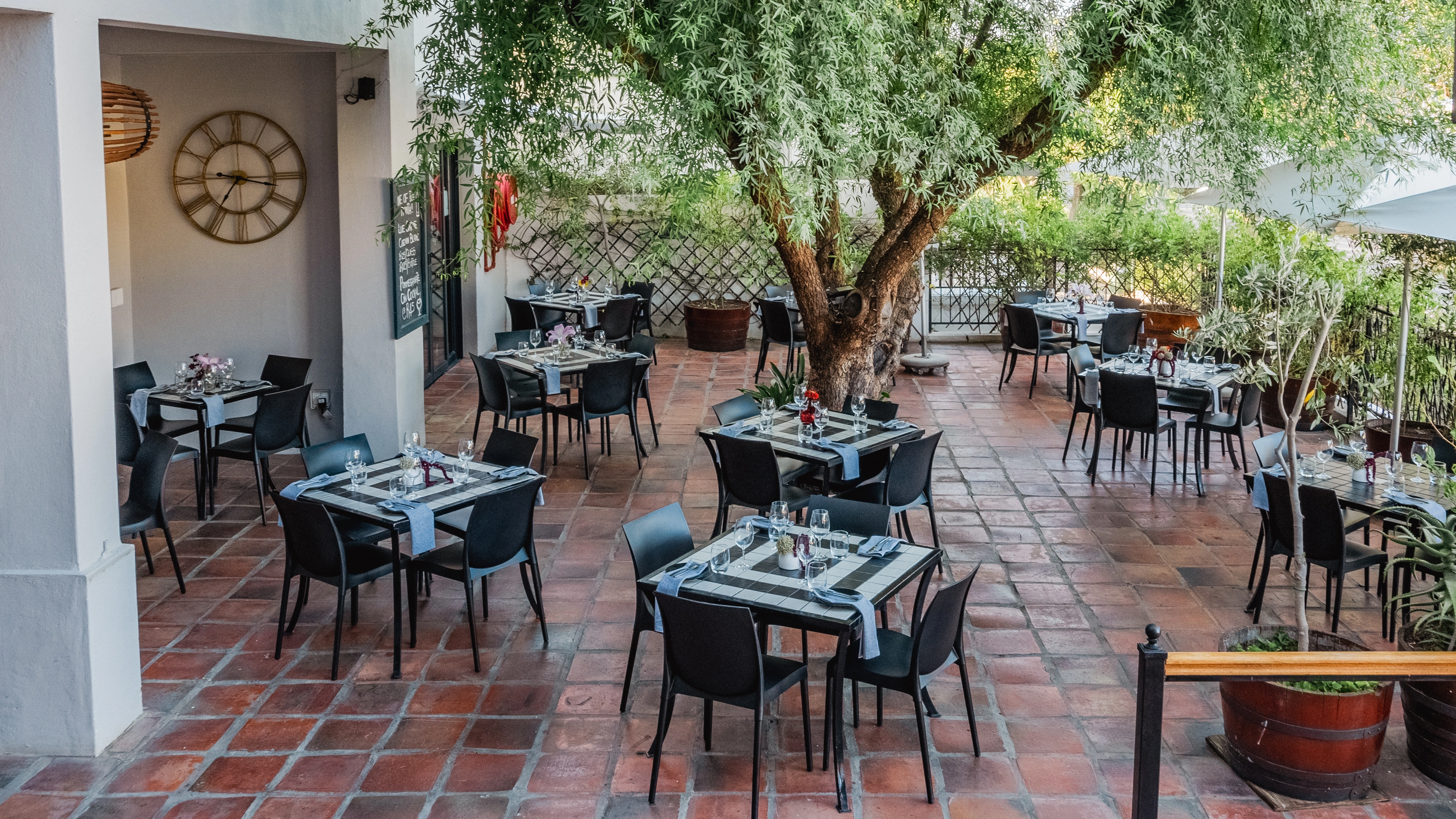 Olive Terrace Bistro