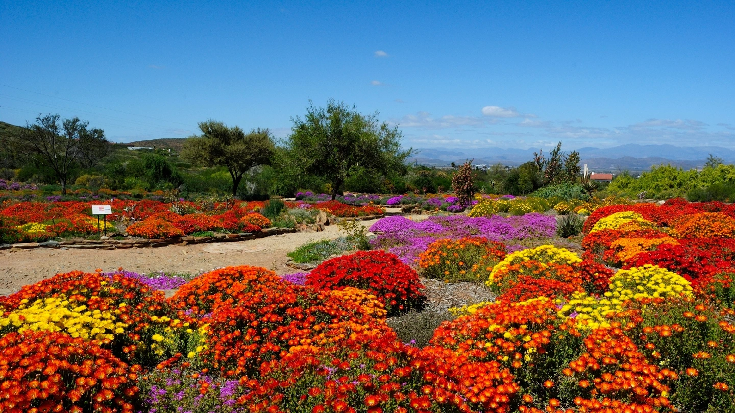 Karoo Desert National Botanical Garden