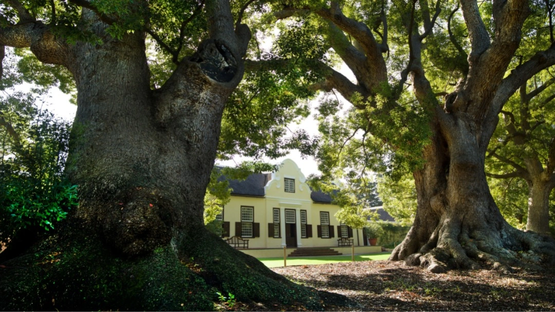 Vergelegen Wine Estate