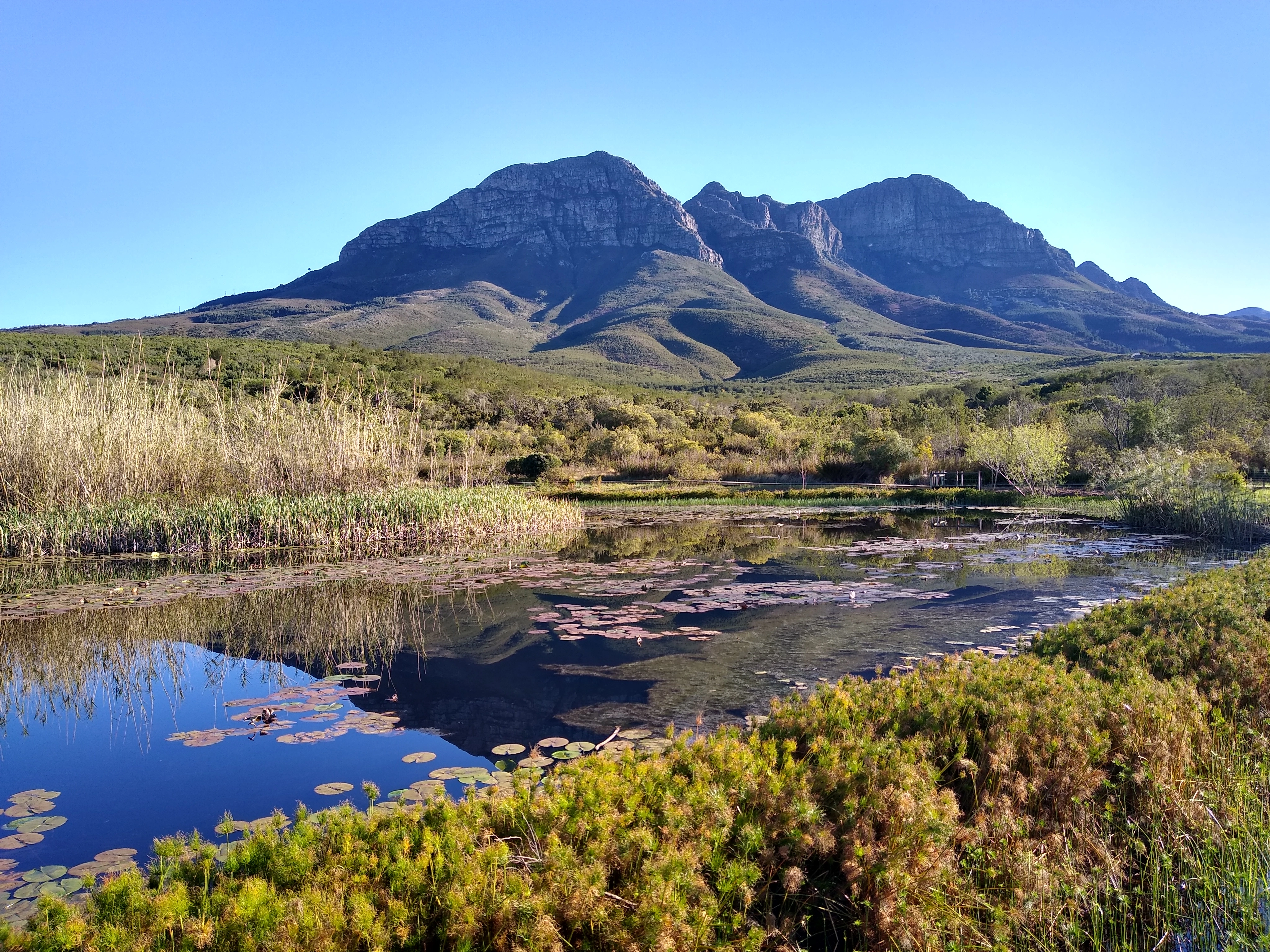 Helderberg Nature Reserve