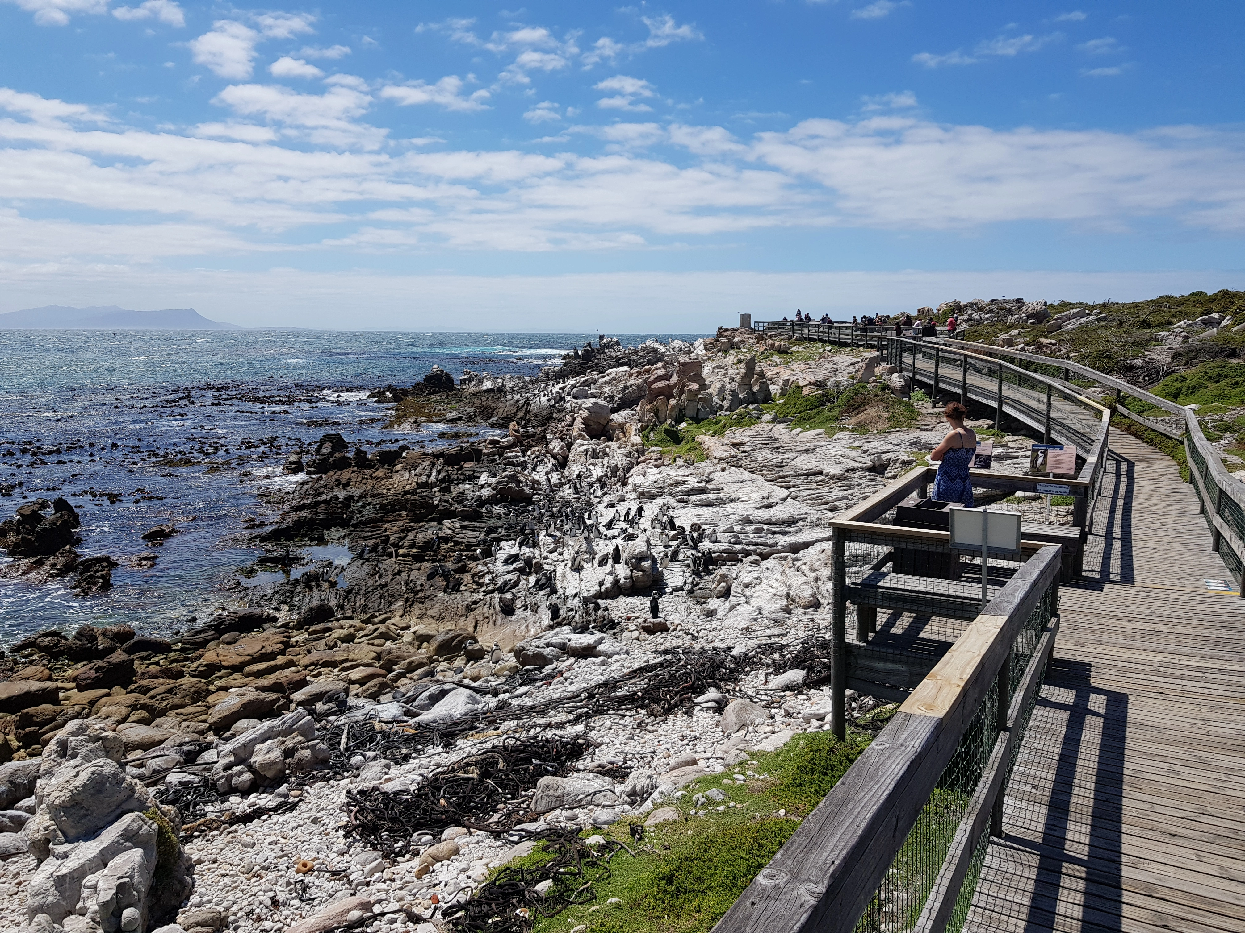 Stony Point Nature Reserve