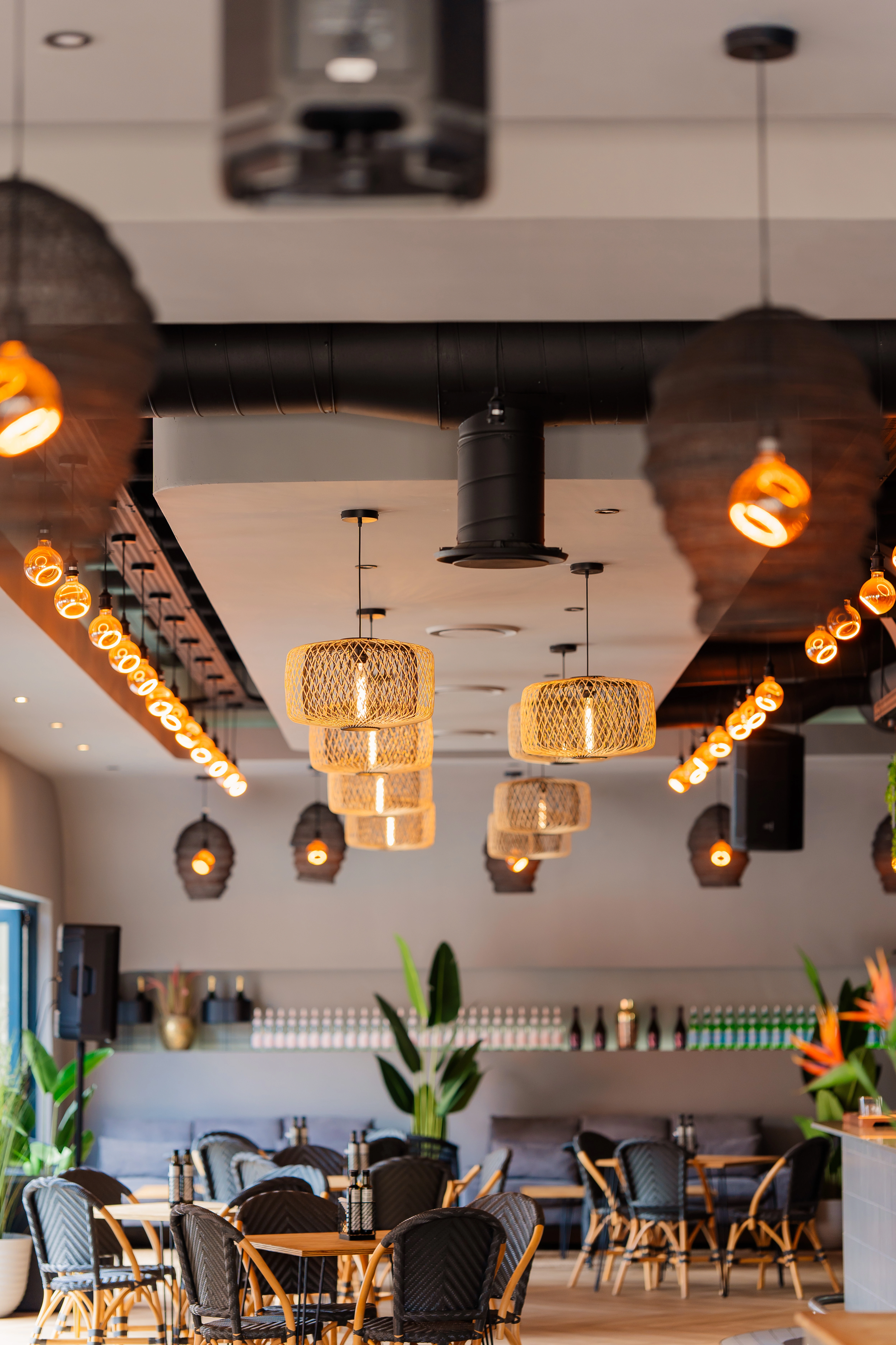 Habanero Menlyn Schîsanyama