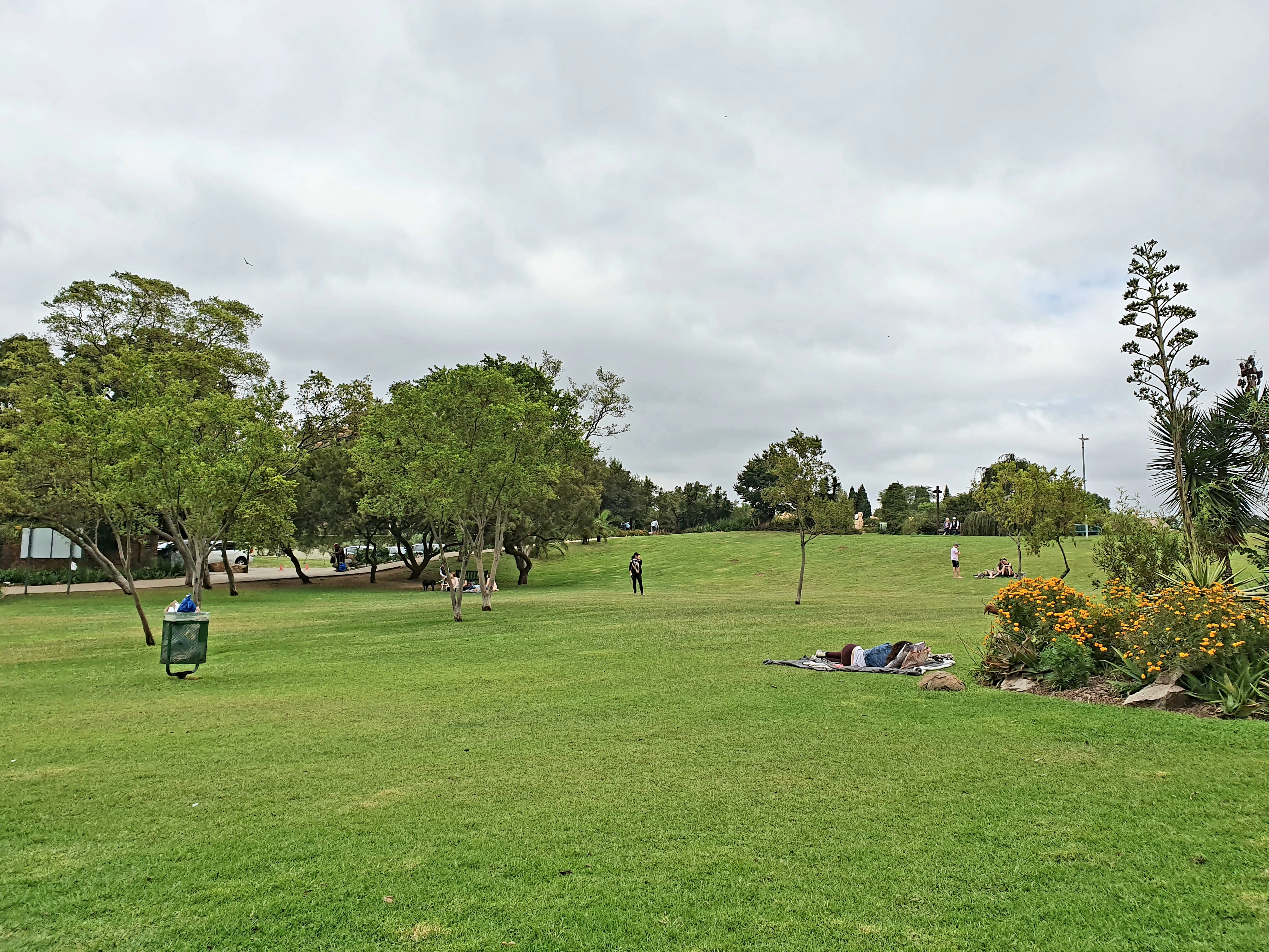 Lonehill Park
