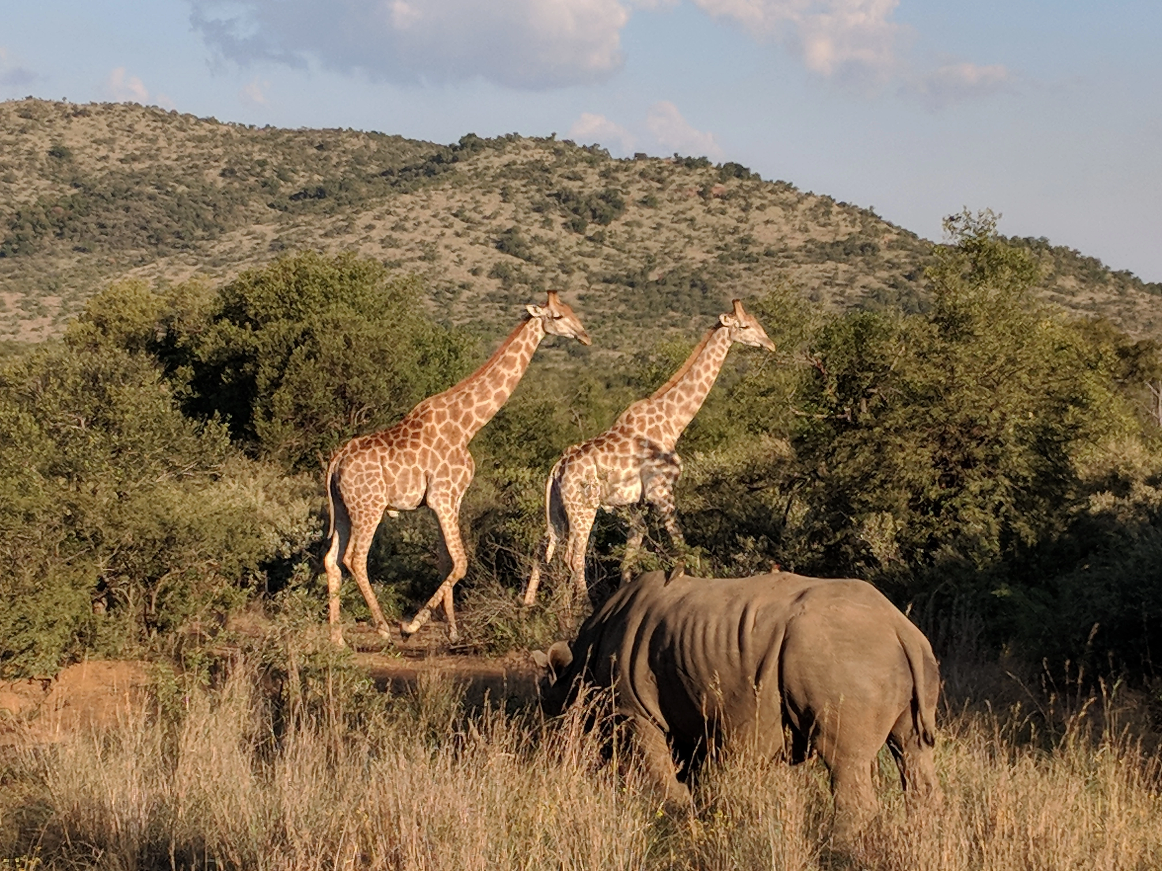 Pilanesberg National Park