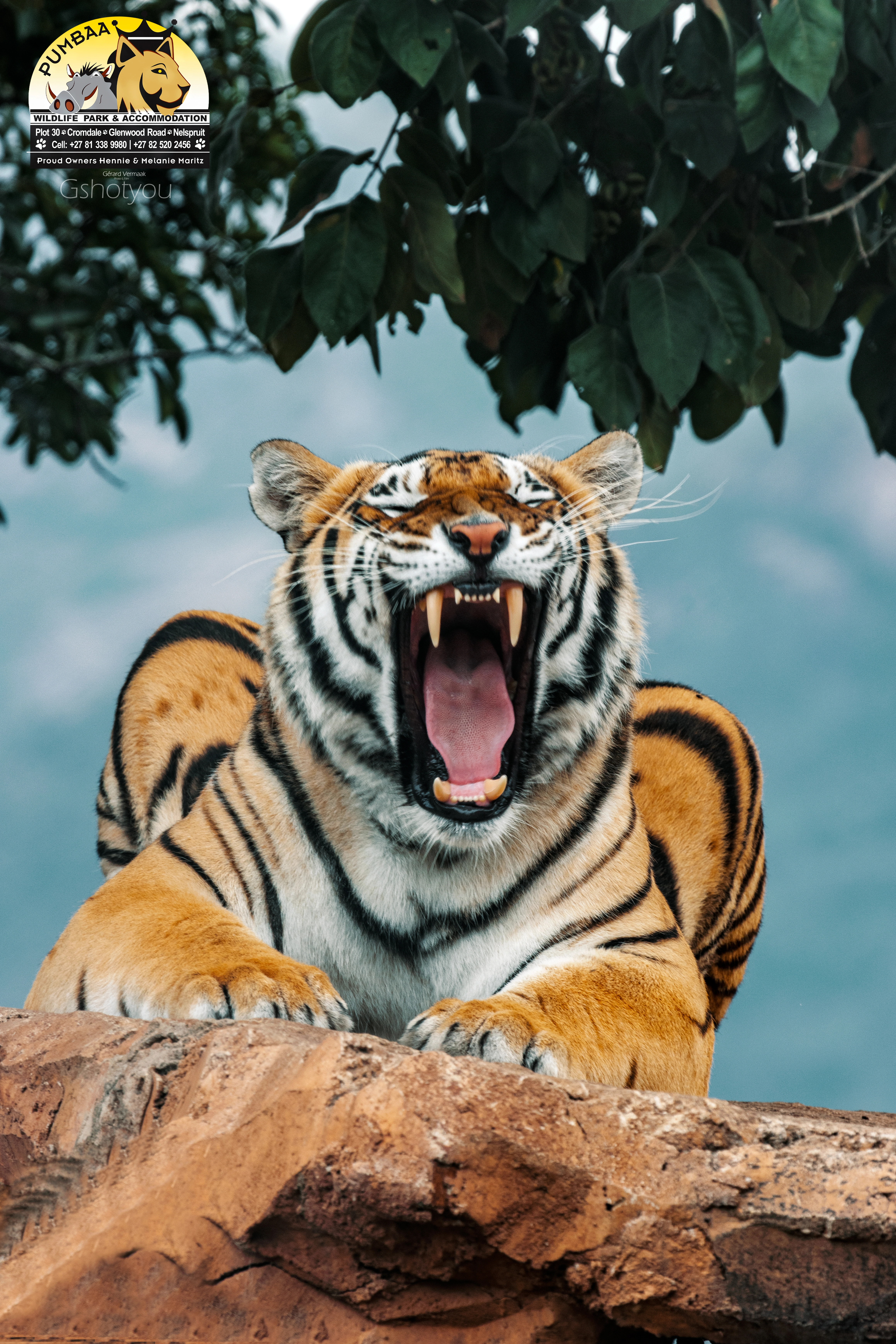 Pumbaa Wildlife Park & Accommodation