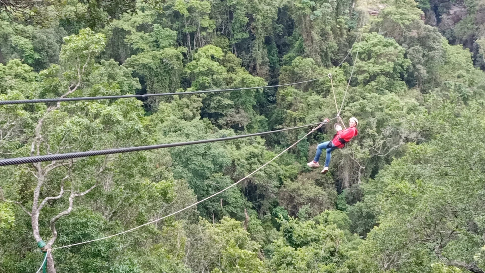 Drakensberg Canopy Tour