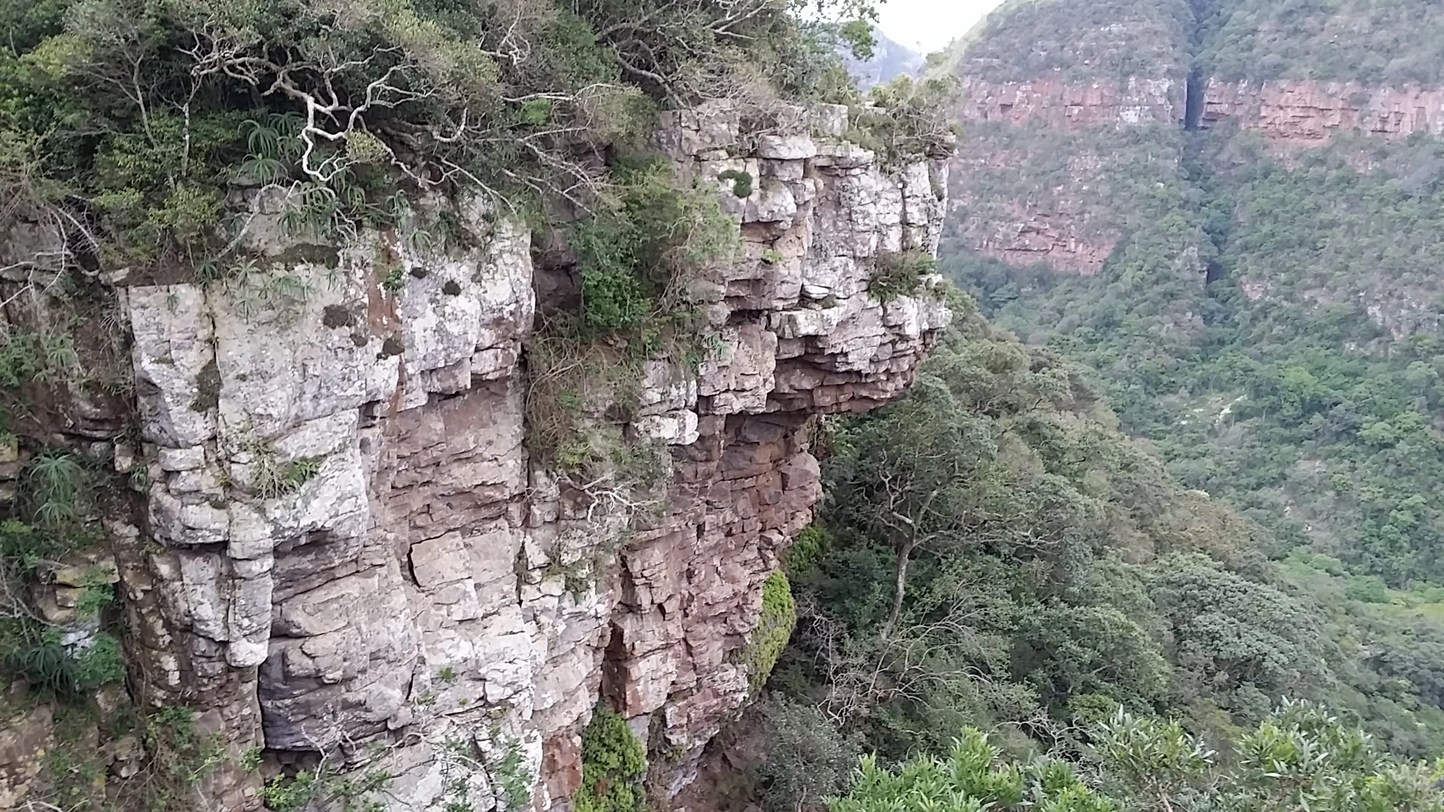Krantzkloof Nature Reserve