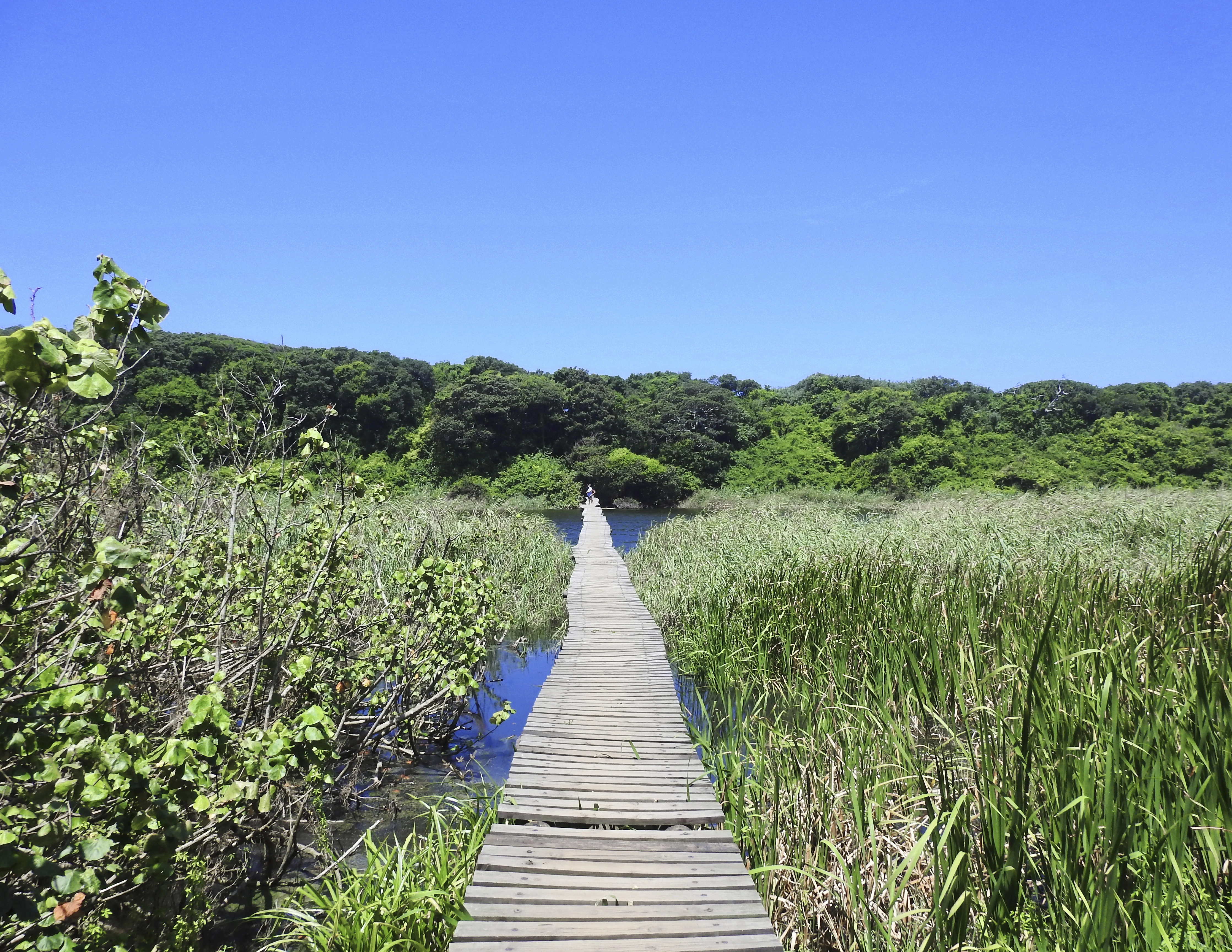 uMhlanga Lagoon Nature Reserve